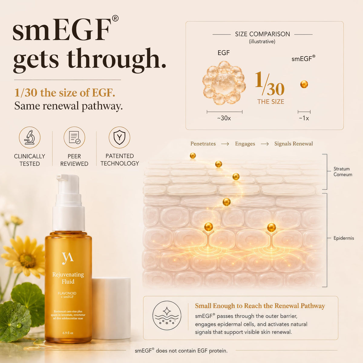 Rejuvenating Fluid Essence Hydrating Korean Essence with - Yashuv Official Imagery - 6