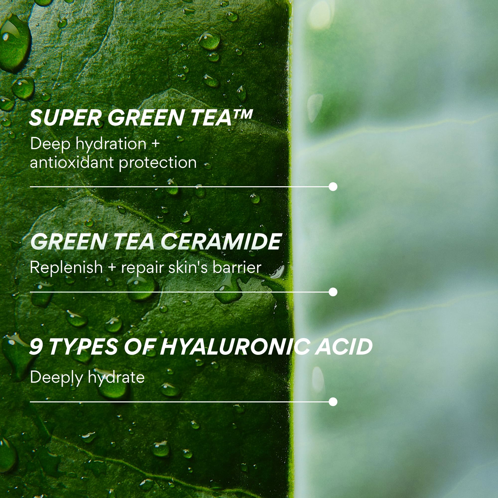 Elefair Tech innisfree Green Tea Ceramide Milk - Hydrating & Lightweight Korean - Elefair Tech Official Product View 8