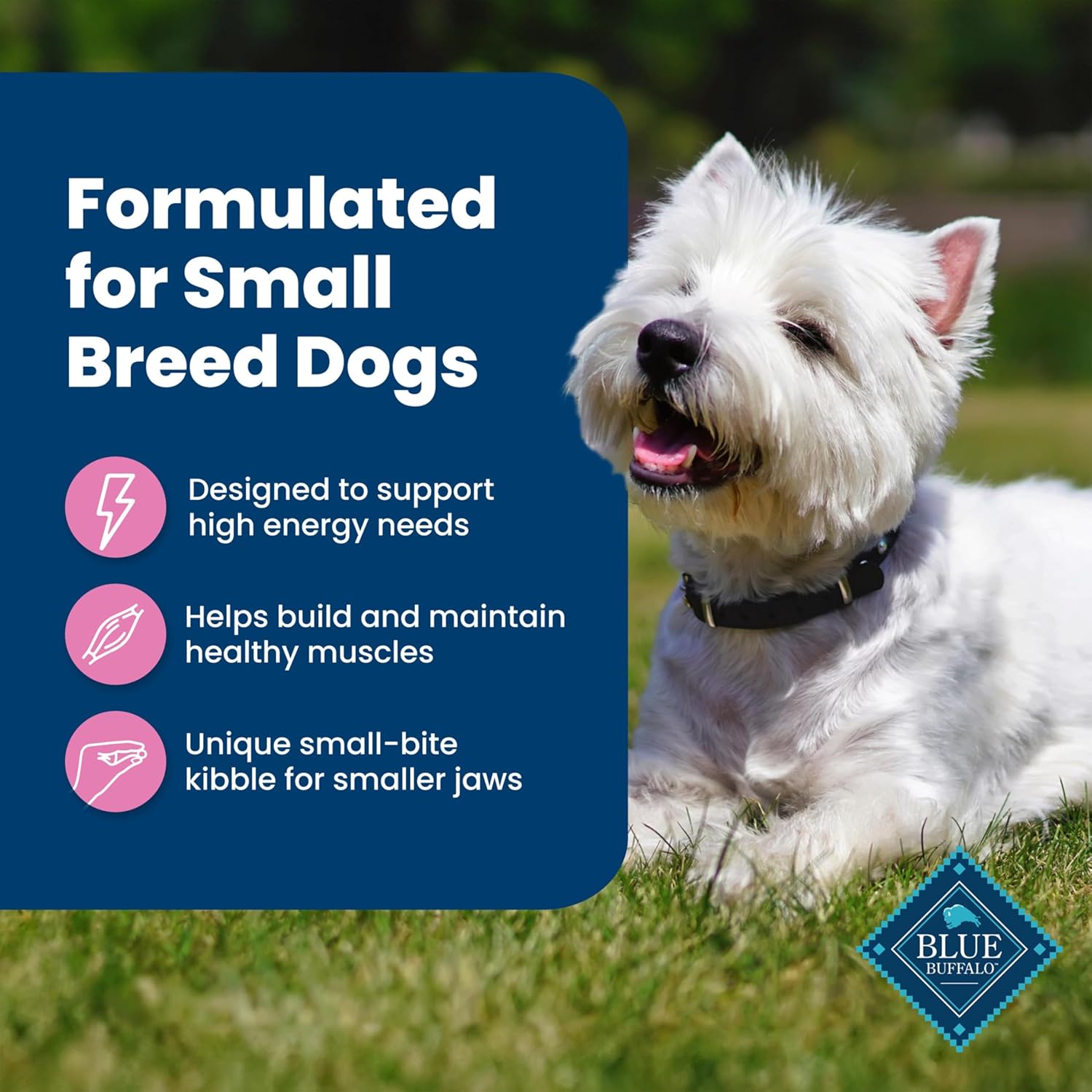 Blue Buffalo Life Protection Formula Adult Dry Dog Food, Helps Build