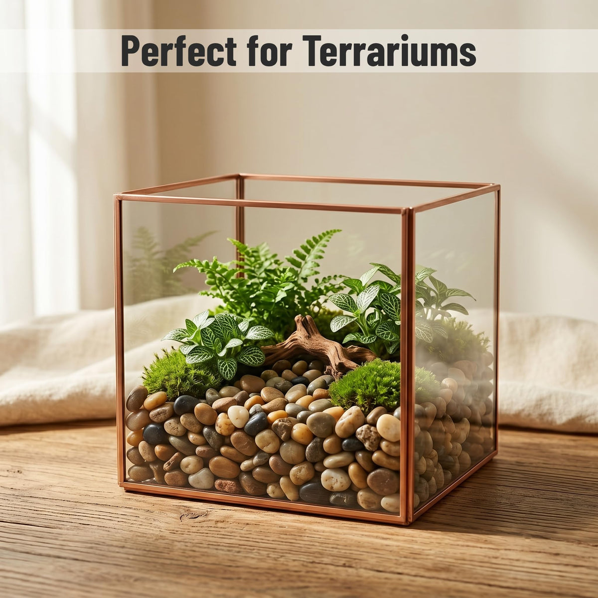 Midwest Hearth Decorative Mixed Pebbles for Plants - Midwest Hearth Official Imagery - 4