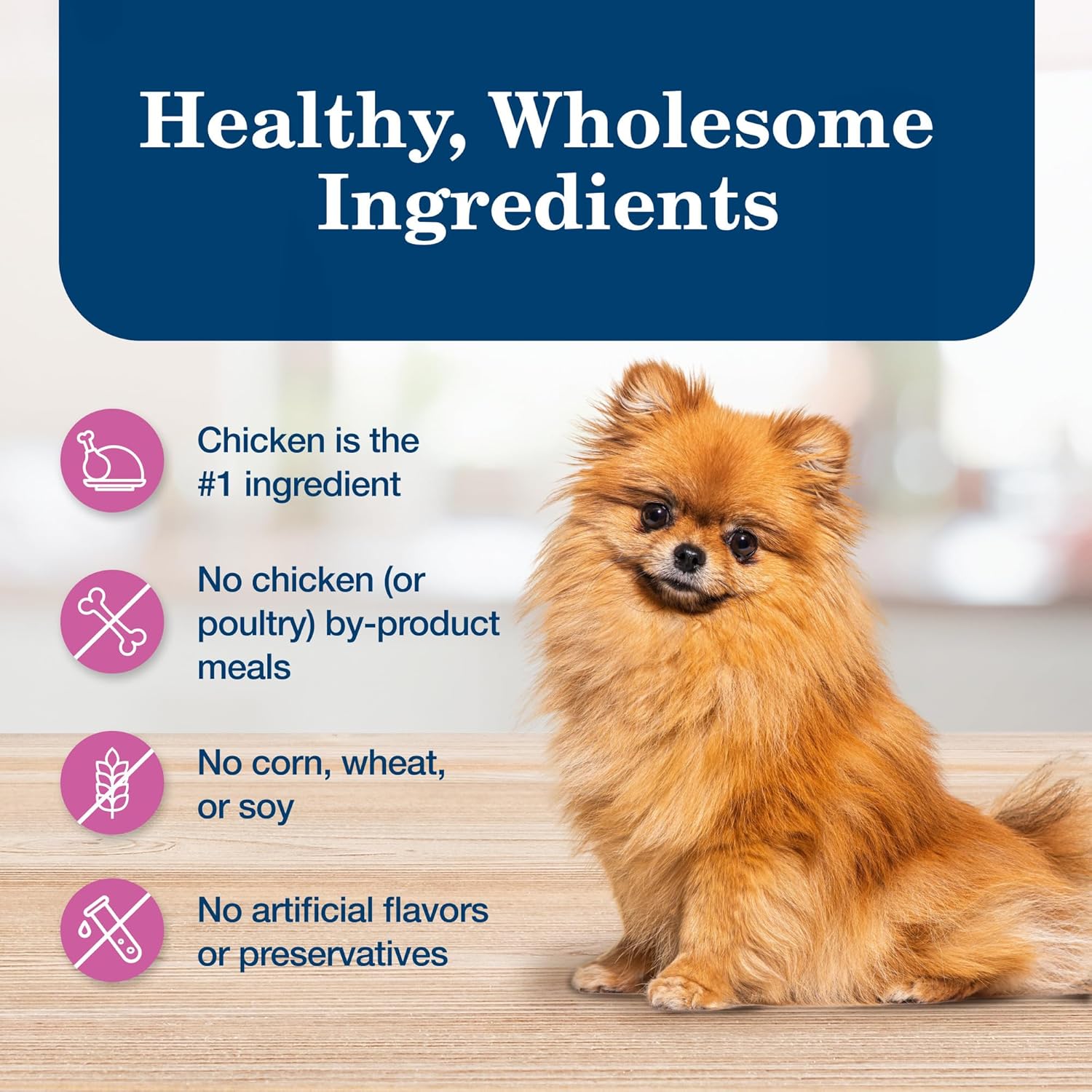 Blue Buffalo Homestyle Recipe small breed wet dog food cans, 5.5 oz each, showing colorful dog food in open cans.