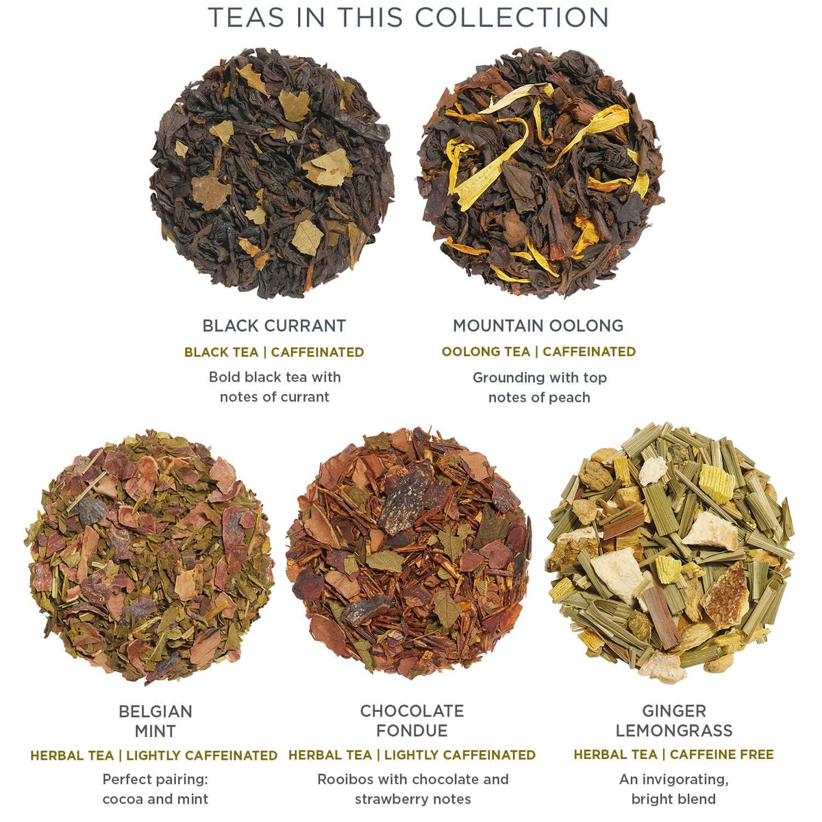 Tea Forte Tea Sampler 10 Pyramid Infuser Bags Premium Tea - Tea Forte Official Imagery - 6