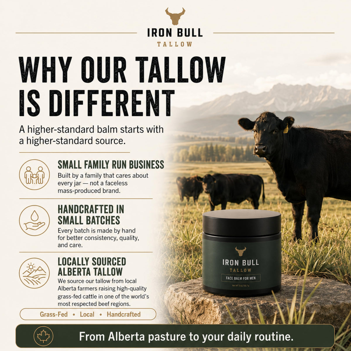 Iron Bull Beef Tallow Face Moisturizer for Men Anti Aging - Iron Bull Tallow Official Imagery - 8