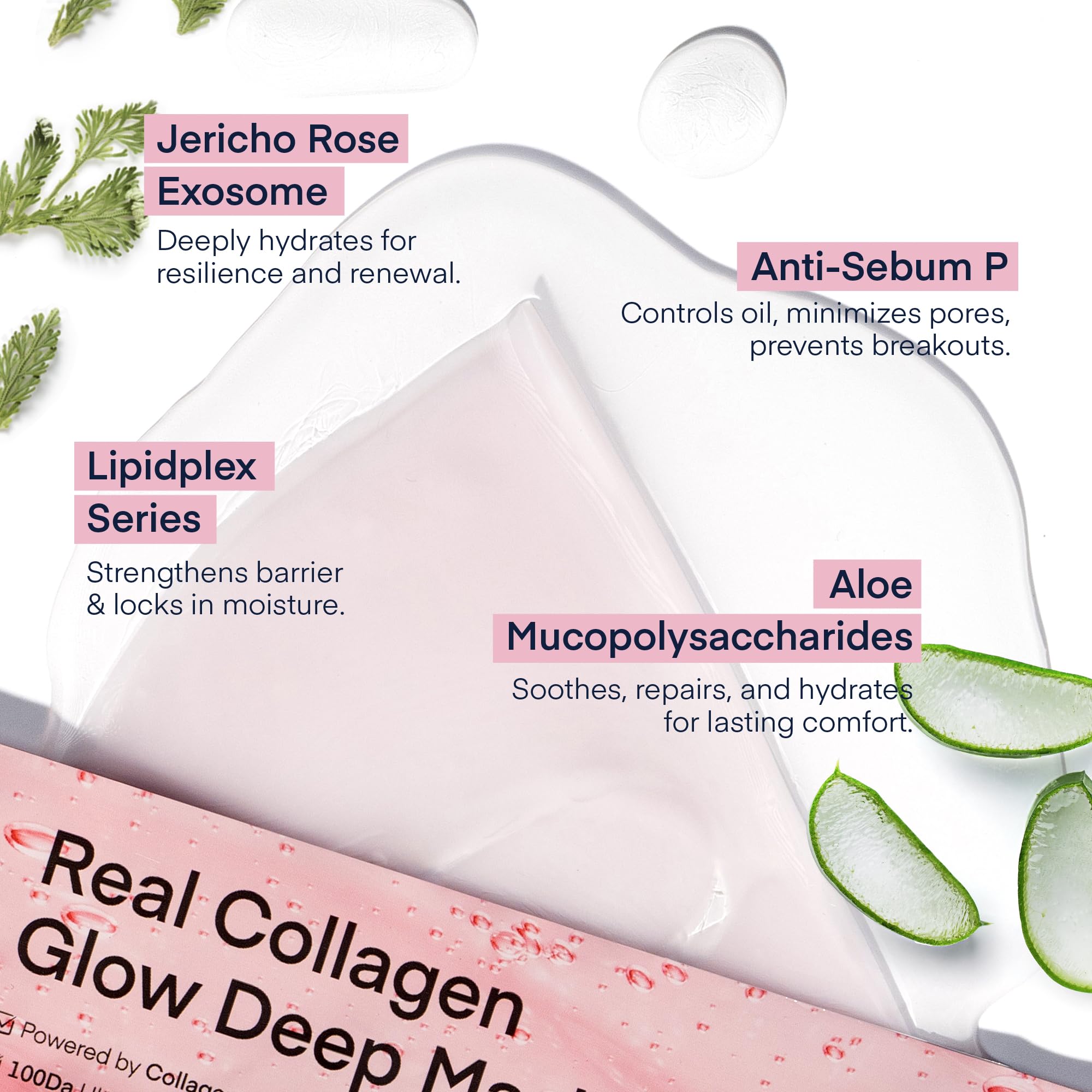 TEREZ & HONOR Real Deep Bio Collagen Face Mask - 8 x 33g Korean Hydrogel Overnight Masks for Deep Hydration, Glowing, Pore Minimizing, Elasticity, Fragrance-Free, 100 Da Ultra-Low Molecular Collagen - TEREZ & HONOR Official Product View 7
