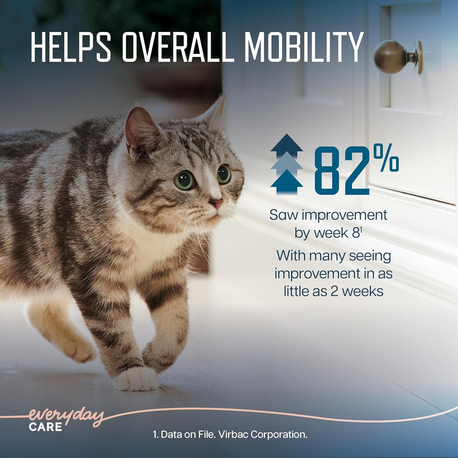 Virbac URSOLYX™ Soft Chews for Cats supporting muscle health in senior and active cats, featuring soft, chewable tablets.