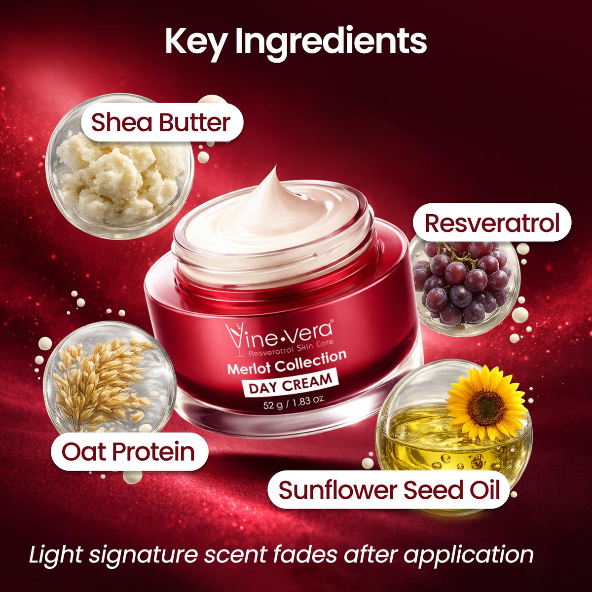 Vine Vera Merlot Day Cream - Vine Vera Official Imagery - 8