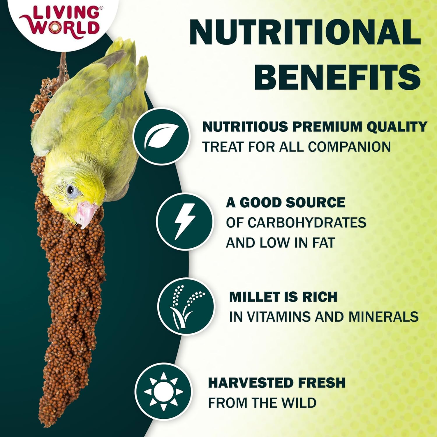Living World millet spray for birds, 7 oz, natural treat for budgies, canaries, finches, cockatiels, and other pet birds.