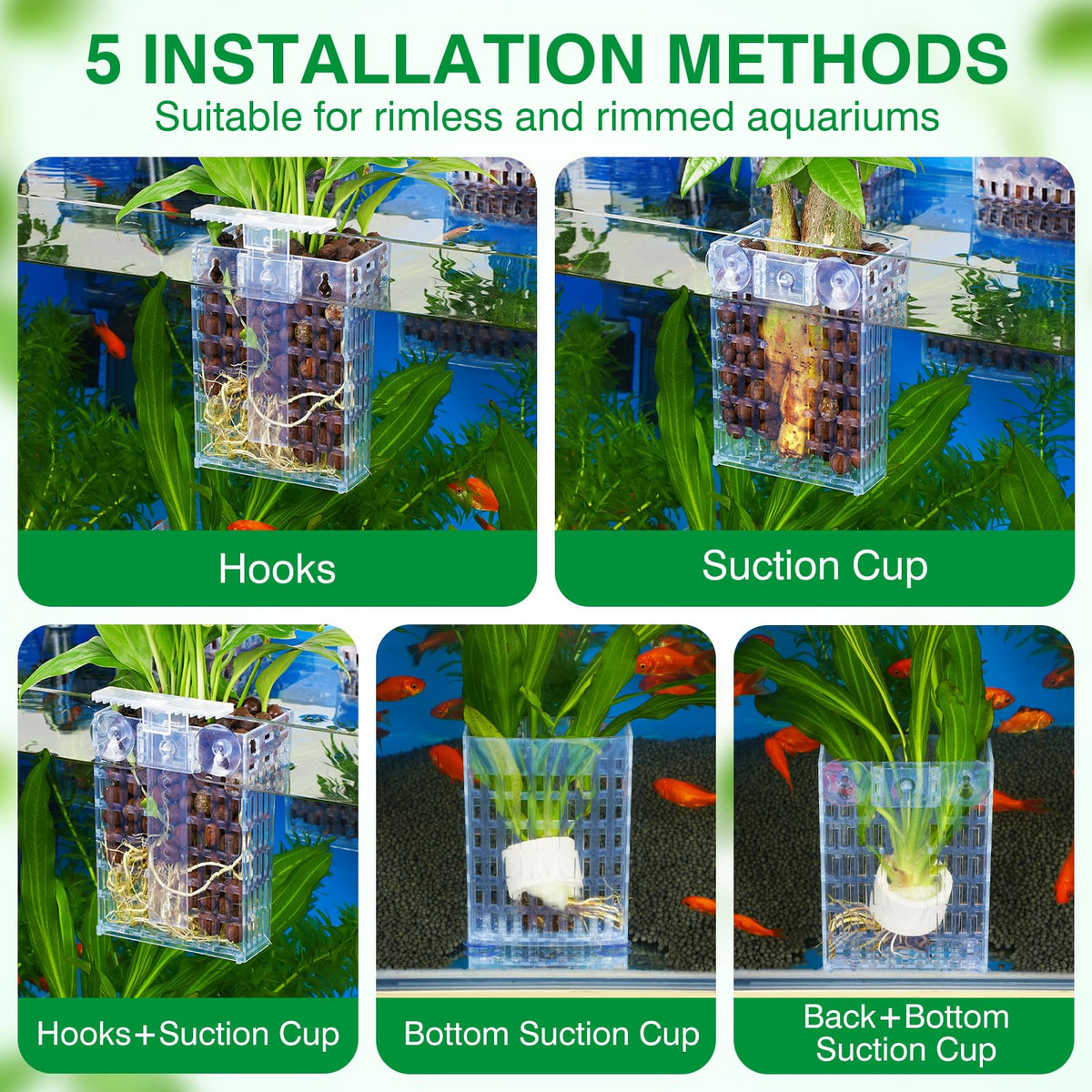 2026 Latest Upgraded Aquarium Plant Holder Adjustable Height - Borlech Official Imagery - 5