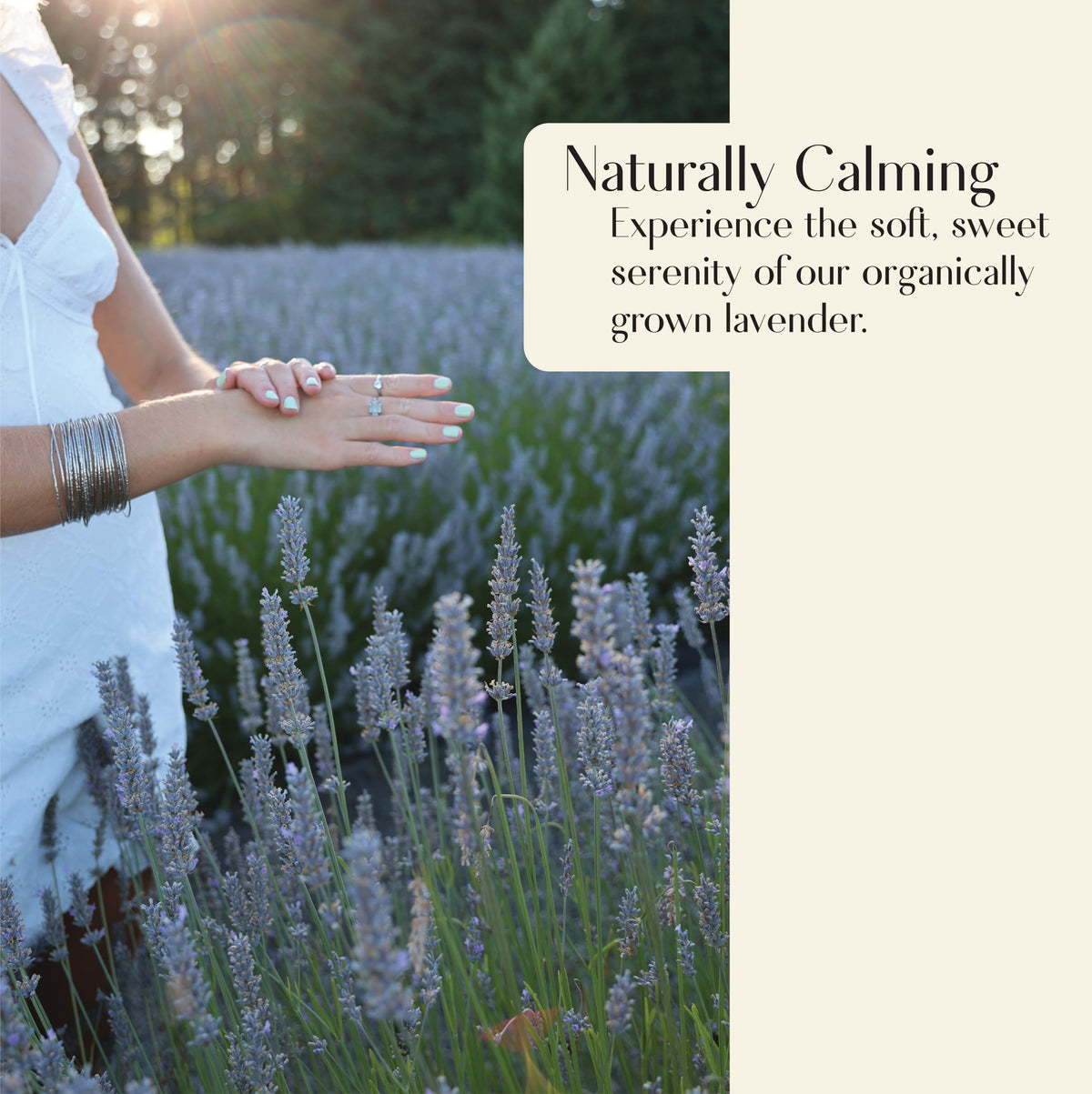 Lavender Botanical Lotion with Aloe Honey Coconut Milk - HappiMiss Official Imagery - 5