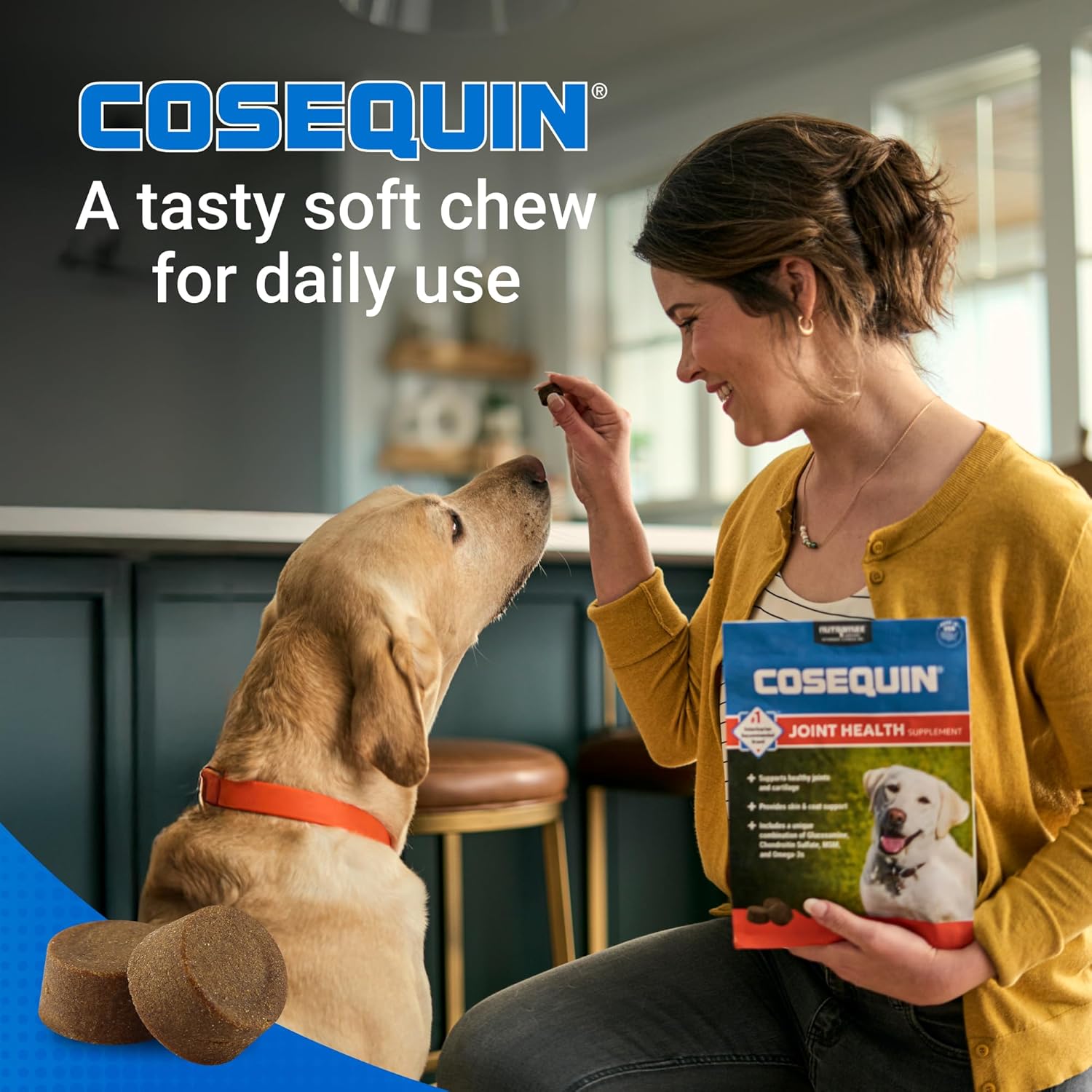 Nutramax Cosequin for Dogs joint health supplement bottle showing label and packaging on a plain background.