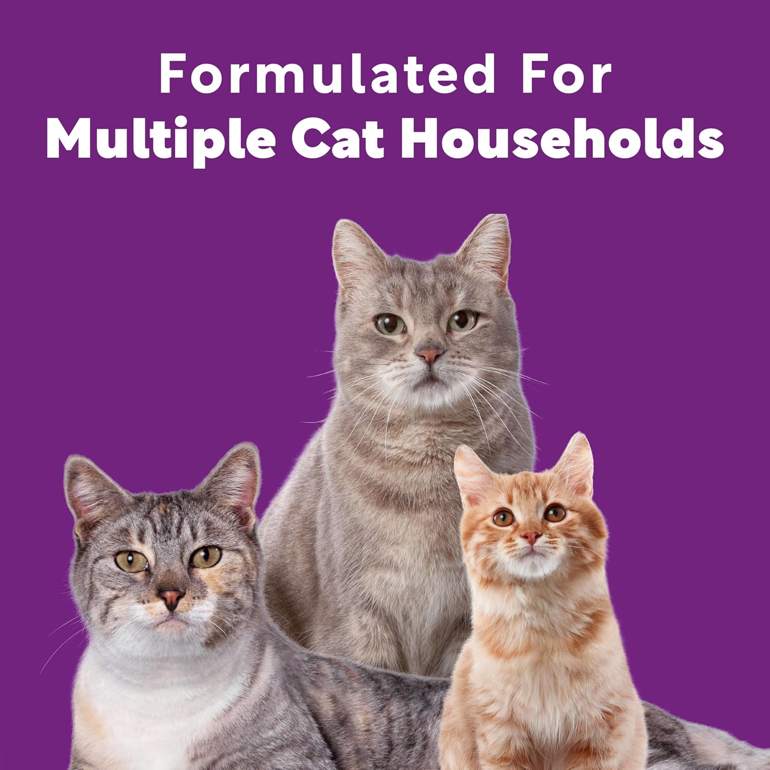 Scoop Away Advanced Multi-Cat Clumping Cat Litter with Meadow Fresh scent in a bag, showing the product packaging and brand logo.