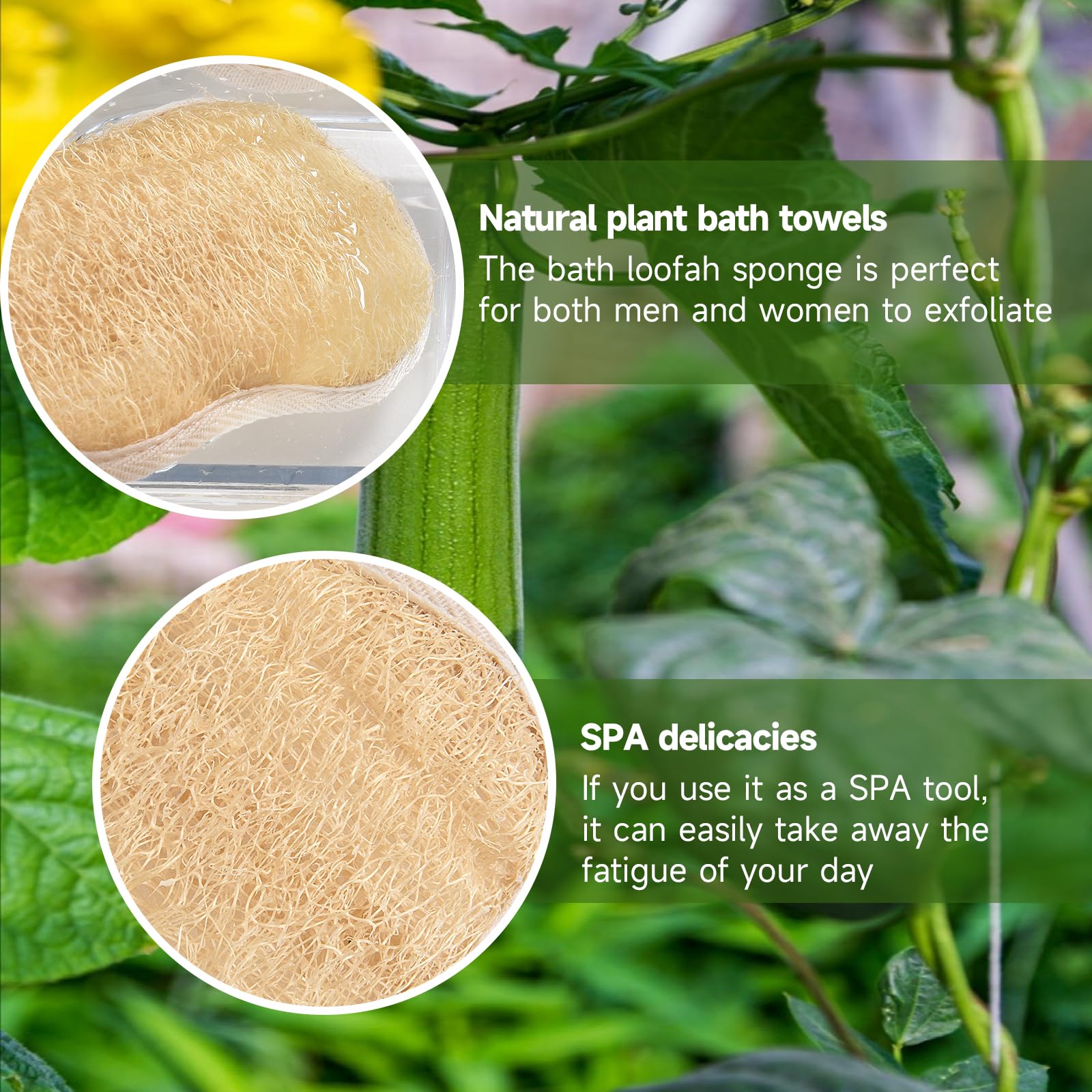 YEMTAL Natural Loofah Exfoliating Body Scrubber, Bath Luffa Sponge, Loofas Body - YEMTAL Official Product View 5