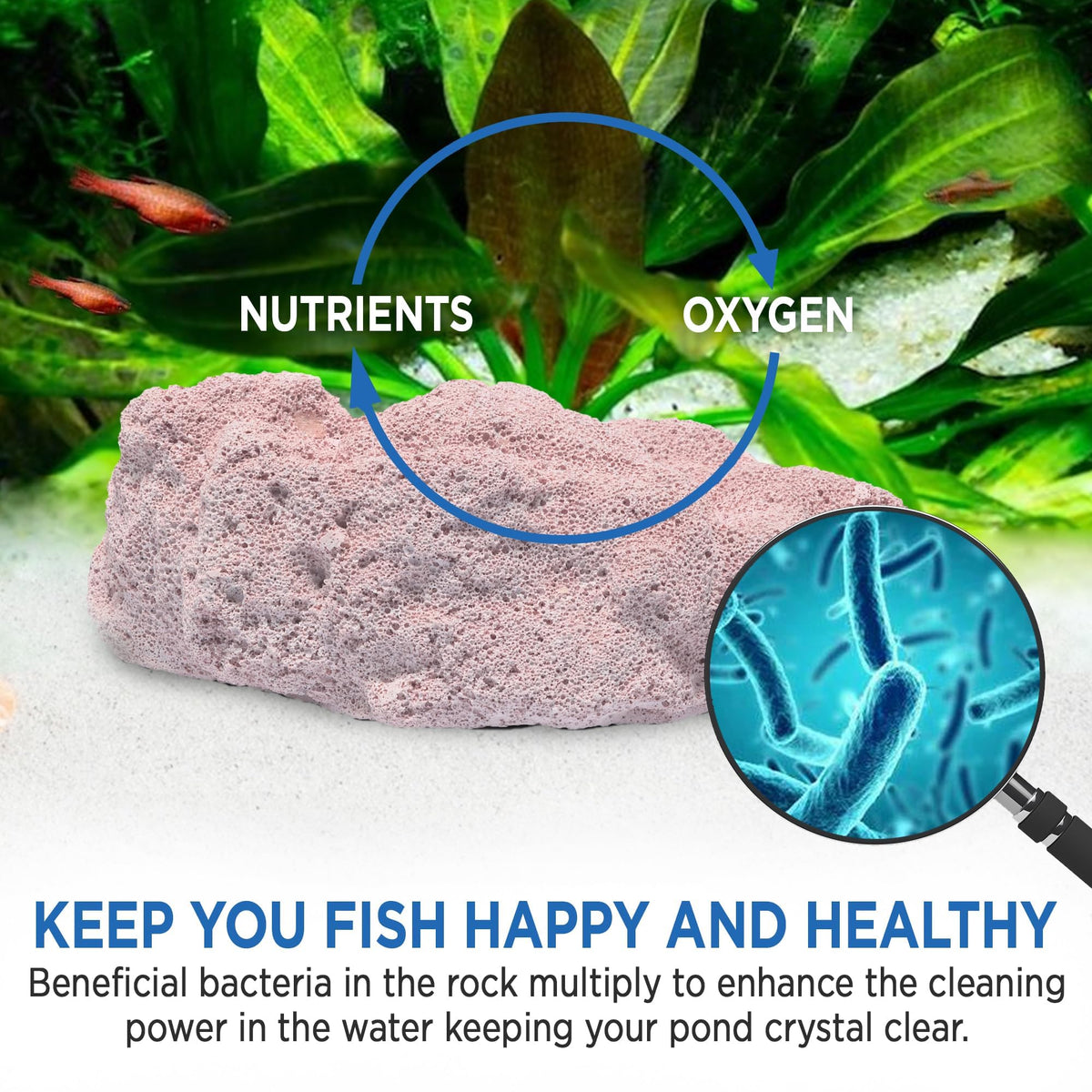 Fish Tank Rocks for Enhancing Water Clarity with Your - Magic Tank Rock Official Imagery - 8