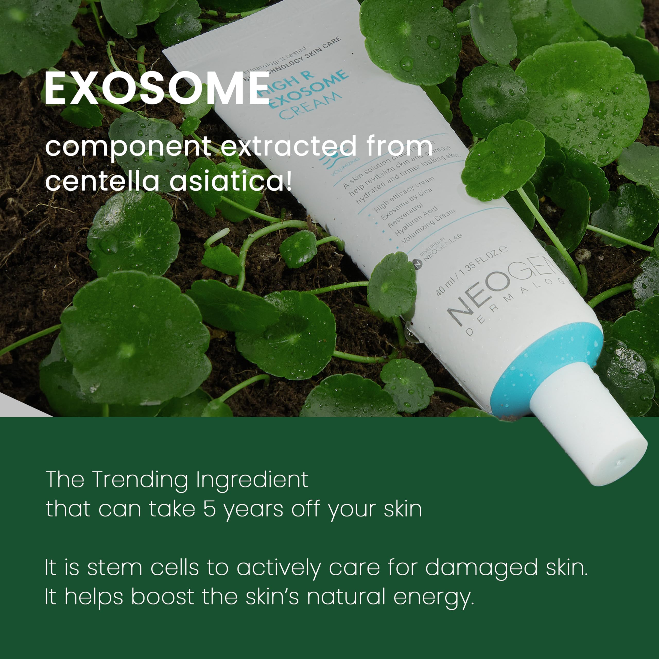 NEOGEN Dermalogy High R Exosome Cream, 1.36 fl oz (40ml) - DERMALOGY by NEOGENLAB