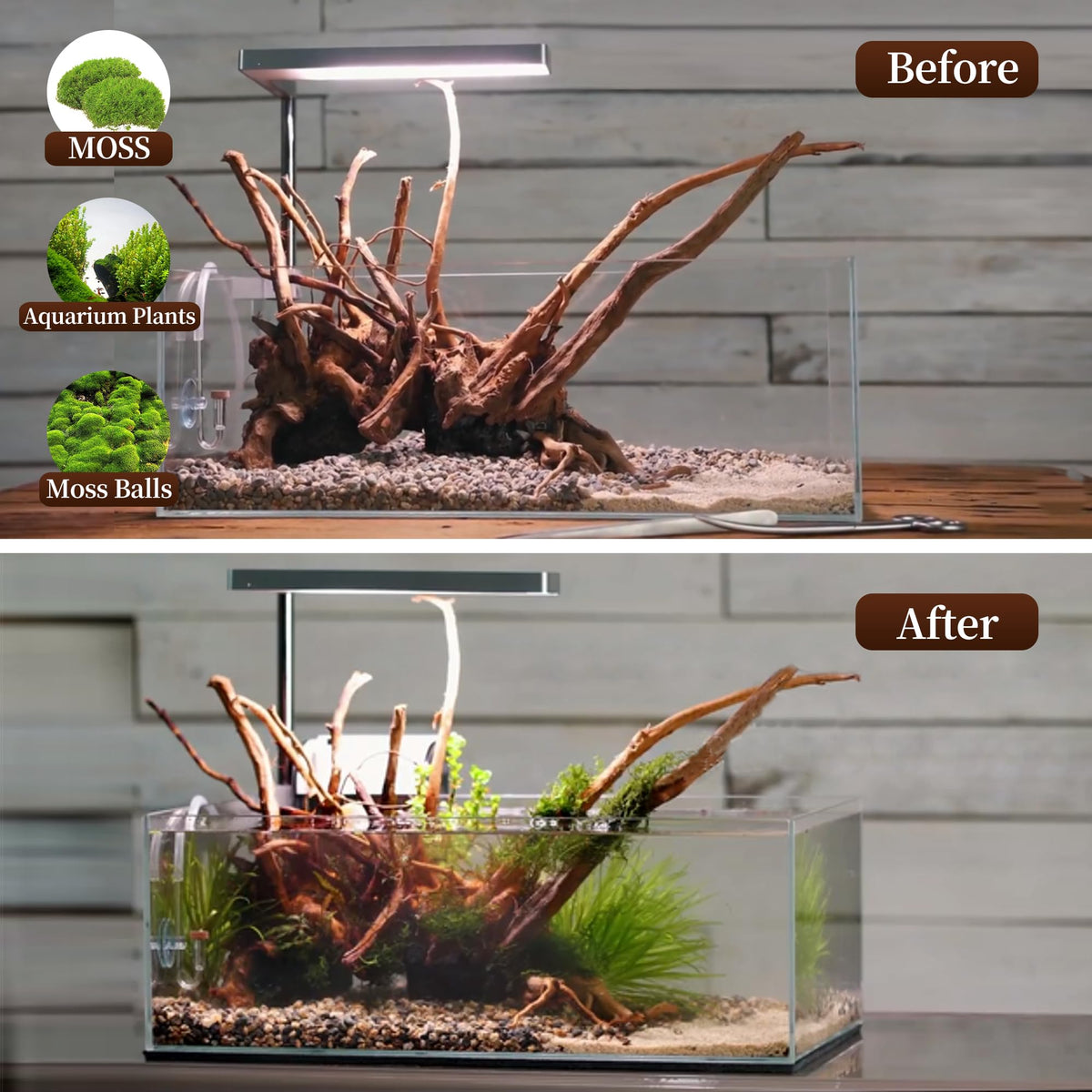 majoywoo Natural Driftwood for Aquarium Decor Fish Tank - majoywoo Official Imagery - 6