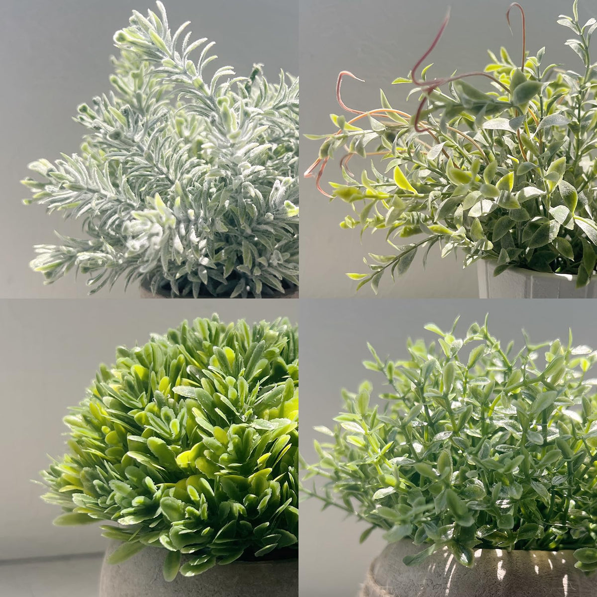 4 Pack Small Fake Plants in White Pulp Pot for Home Decor - PENGYEE Official Imagery - 6