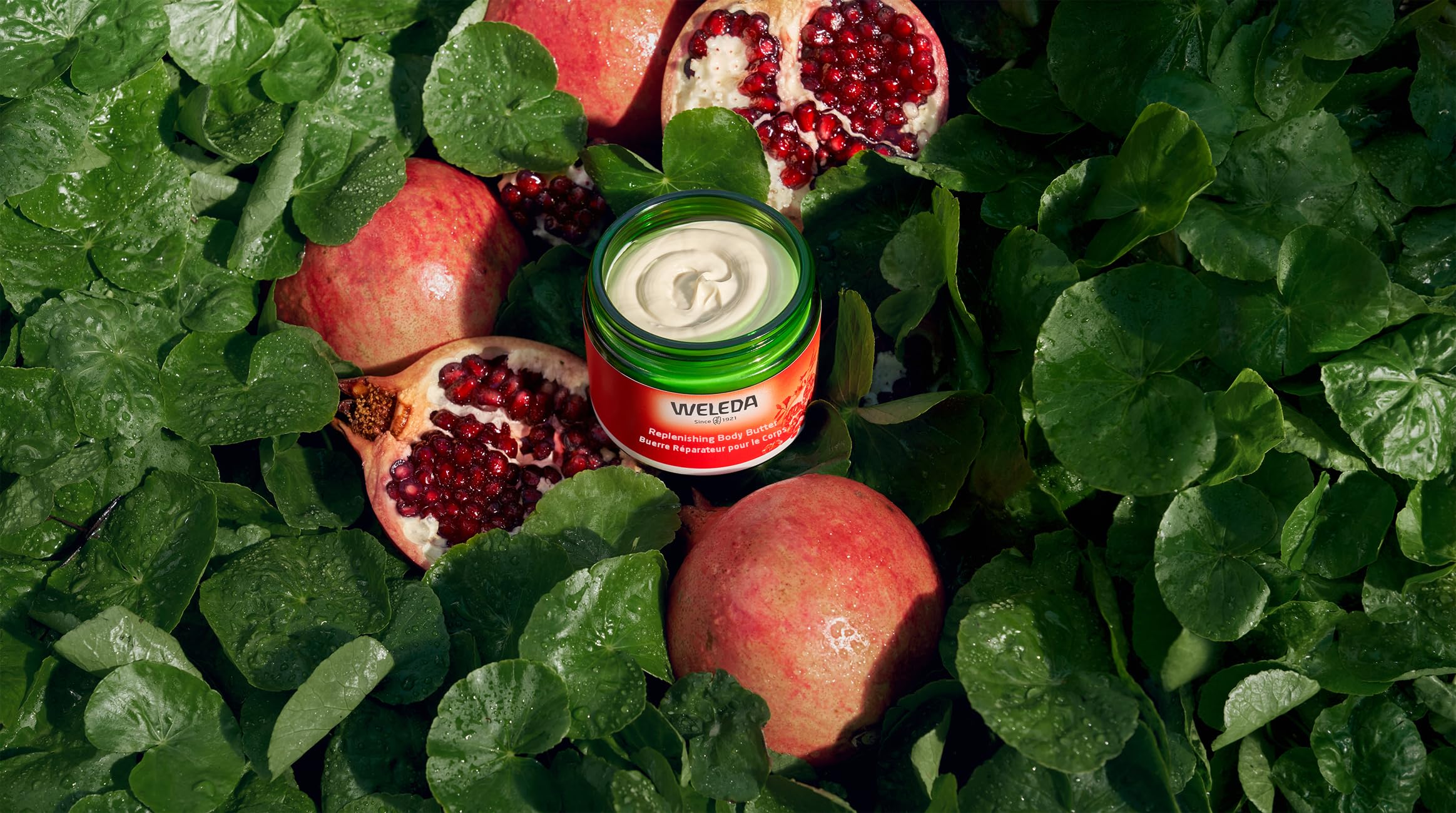 Weleda Replenishing Body Butter, 5.0 Fluid Ounces, Antioxidant Rich Formula with Pomegranate and plant extracts