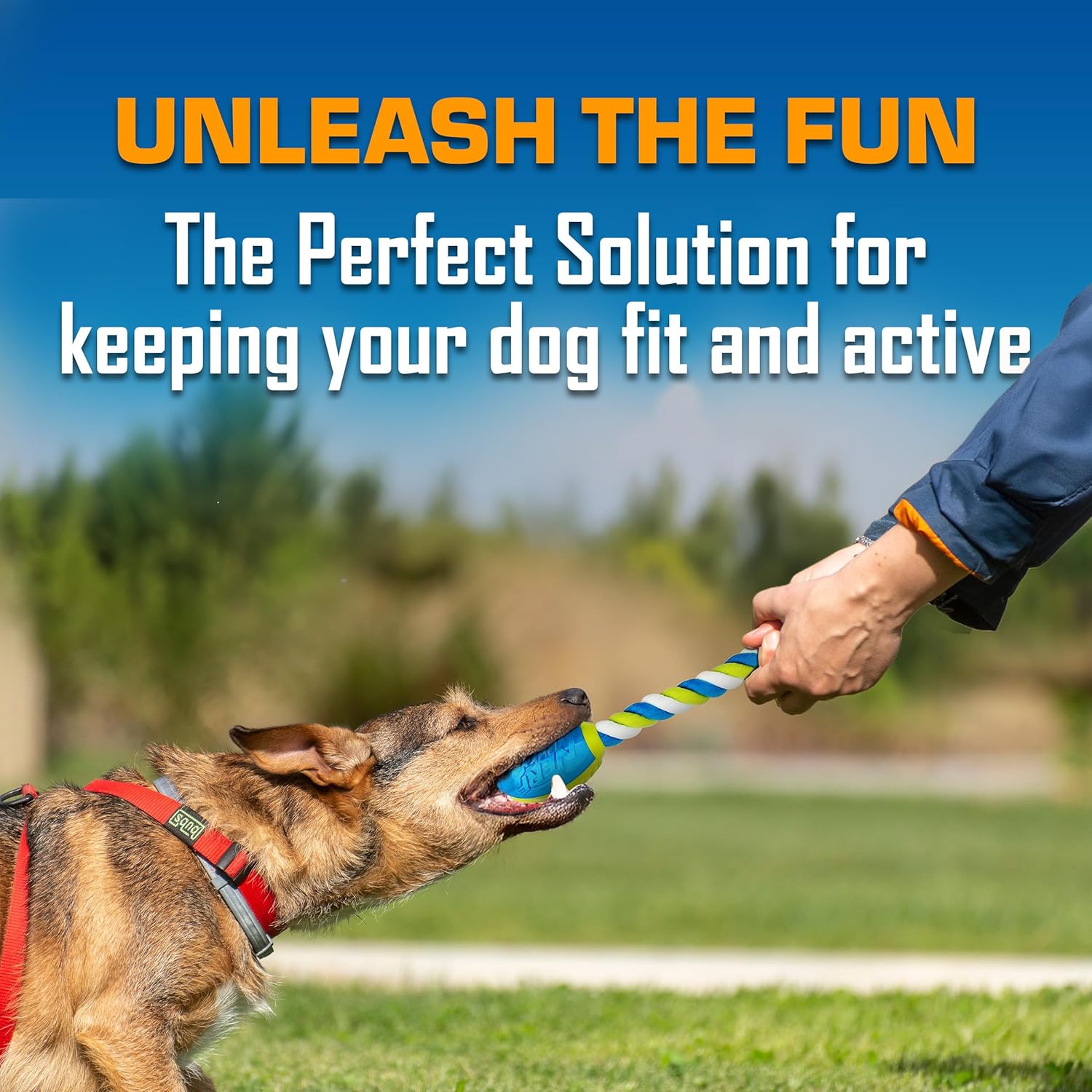 Nerf Dog toy gift set with three outdoor tug and fetch football toys for dogs, durable and suitable for active play.
