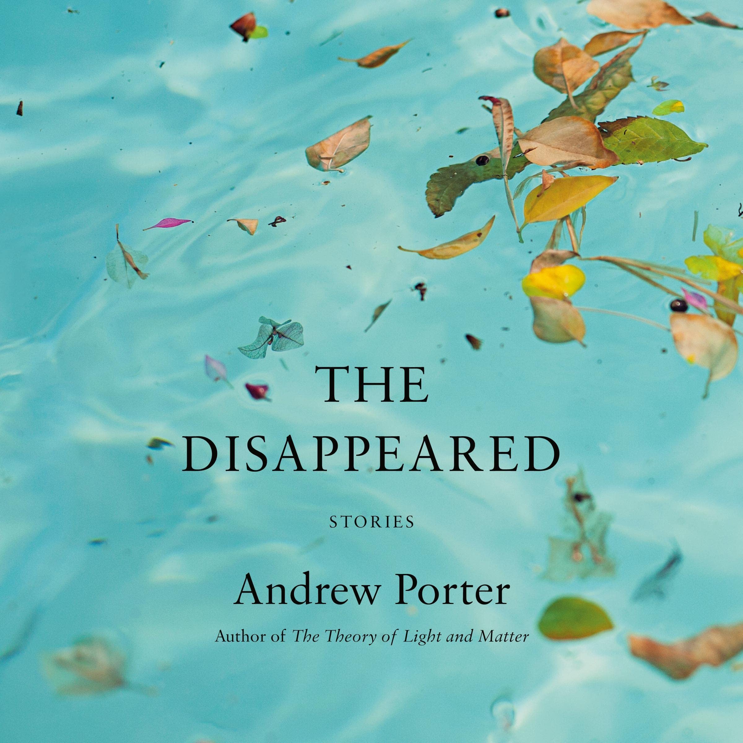 The Disappeared: Stories - Product Imagery