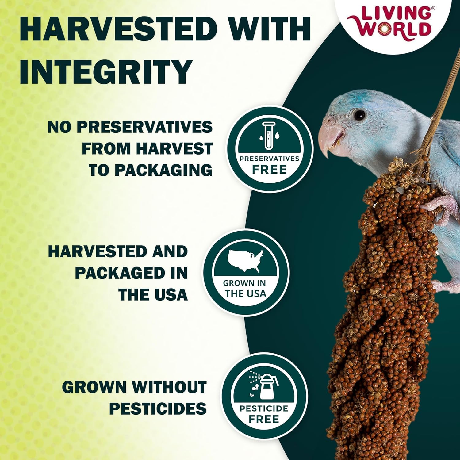 Living World millet spray for pet birds like budgies, canaries, finches, and cockatiels, 7 oz, natural bird treat.