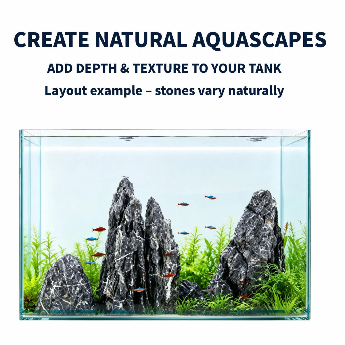 Seiryu Stone Aquascaping Rocks 5 lb Aquarium Stone Set - Korvuli Official Imagery - 6