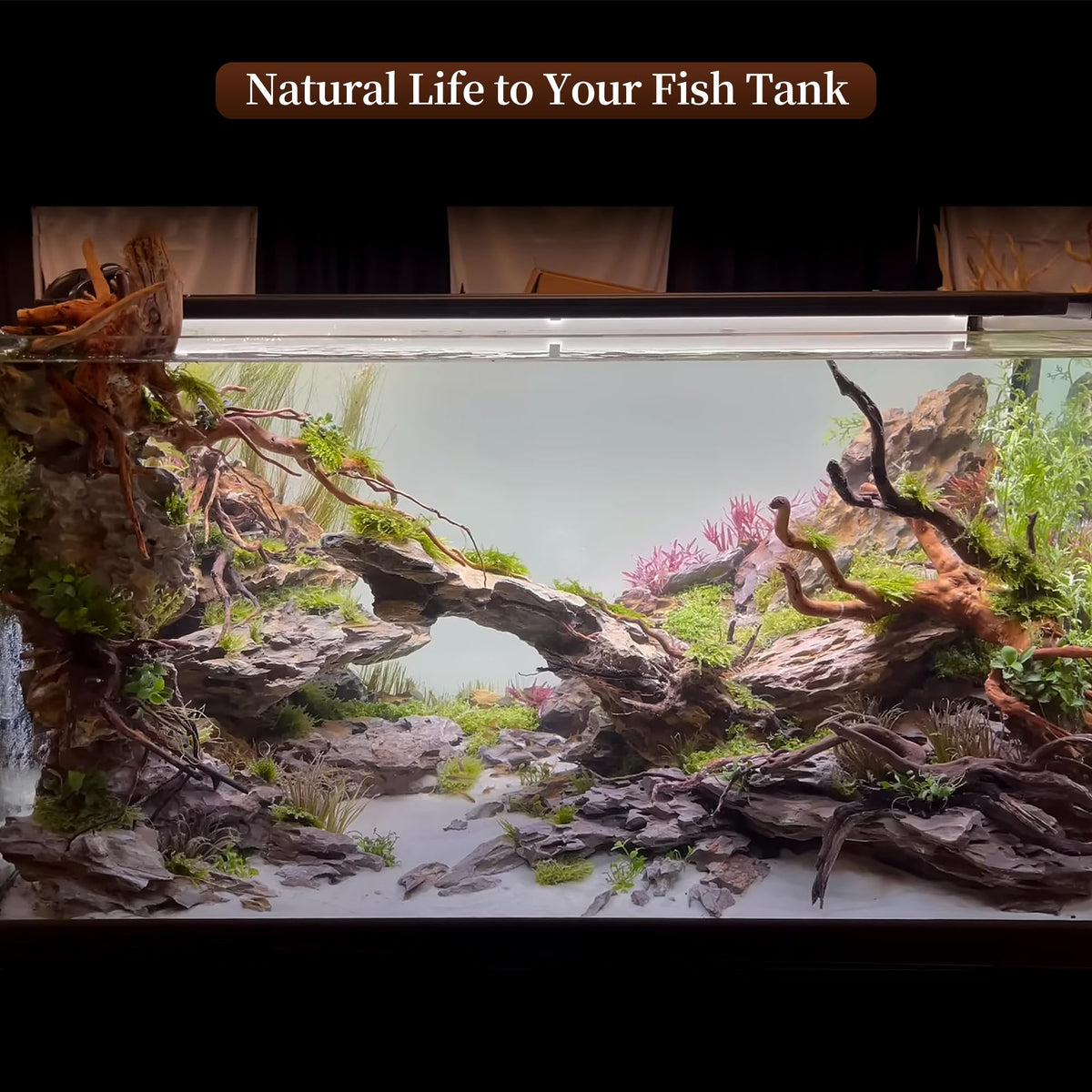 majoywoo Natural Driftwood for Aquarium Decor Fish Tank - majoywoo Official Imagery - 7