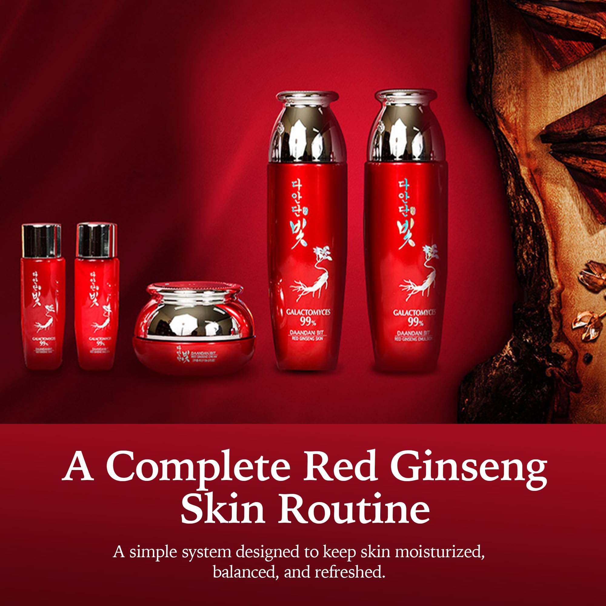 DAANDAN Bit Premium Red Ginseng Set, Skin 5.07 FL OZ, Emulsion - Jigott