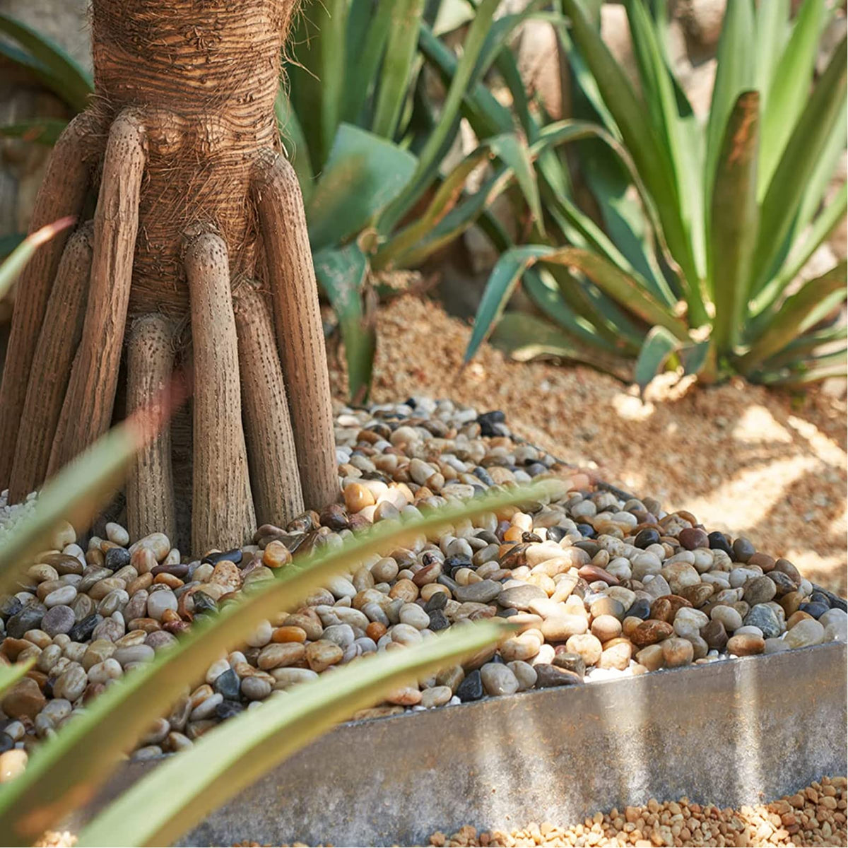 GASPRO 15lb Mixed Color Landscaping Pebbles River Rocks - GASPRO Official Imagery - 4