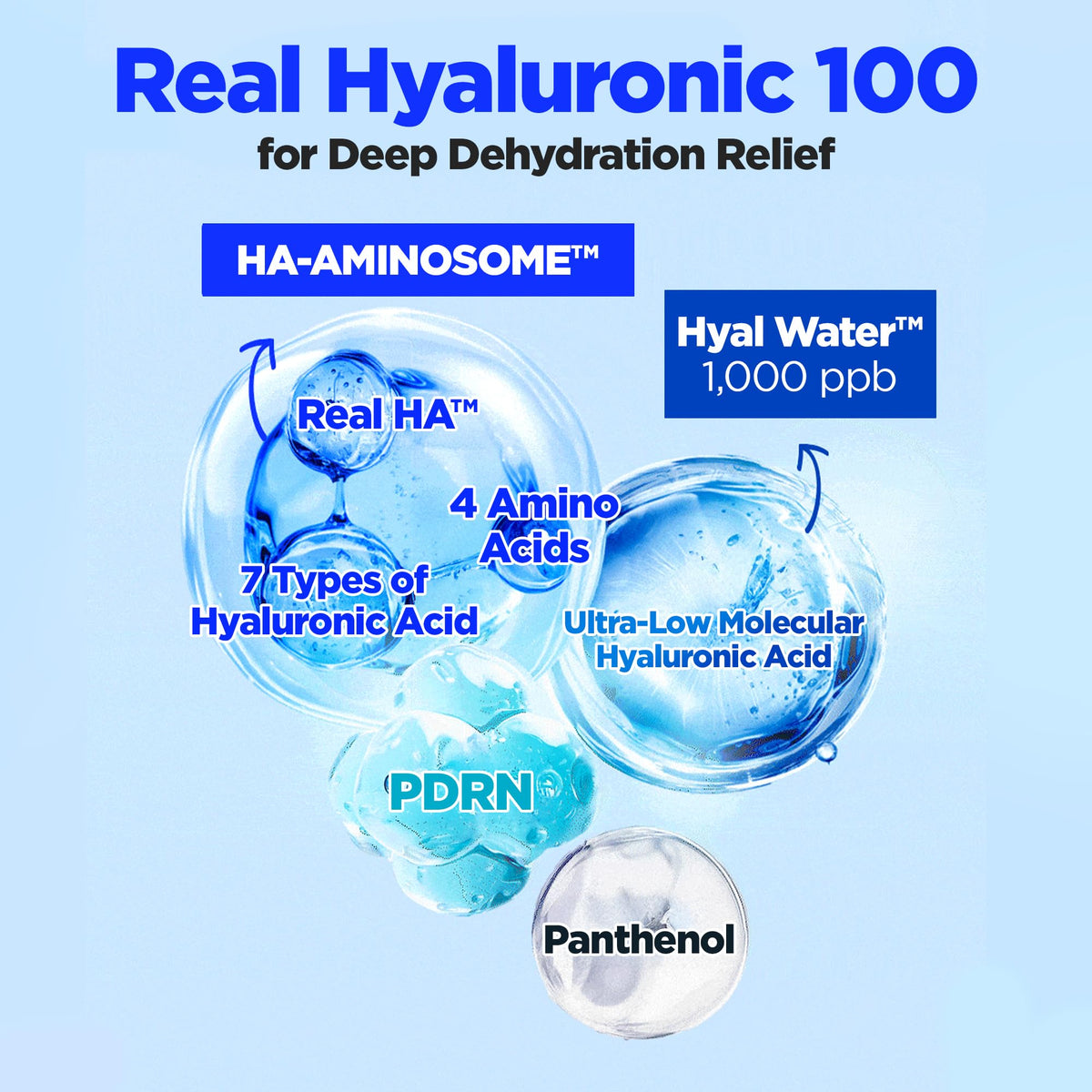 WELLAGE Real Hyaluronic Soothing Cream 100 2 7 oz - WELLAGE Official Imagery - 6