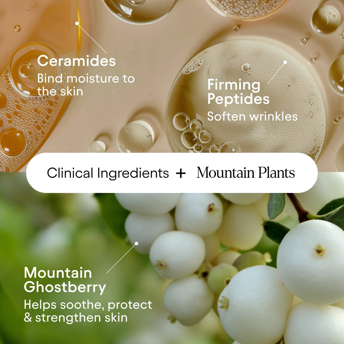 ALPYN Firming Peptide Barrier Repair Cream For Eczema - Alpyn Beauty Official Imagery - 6