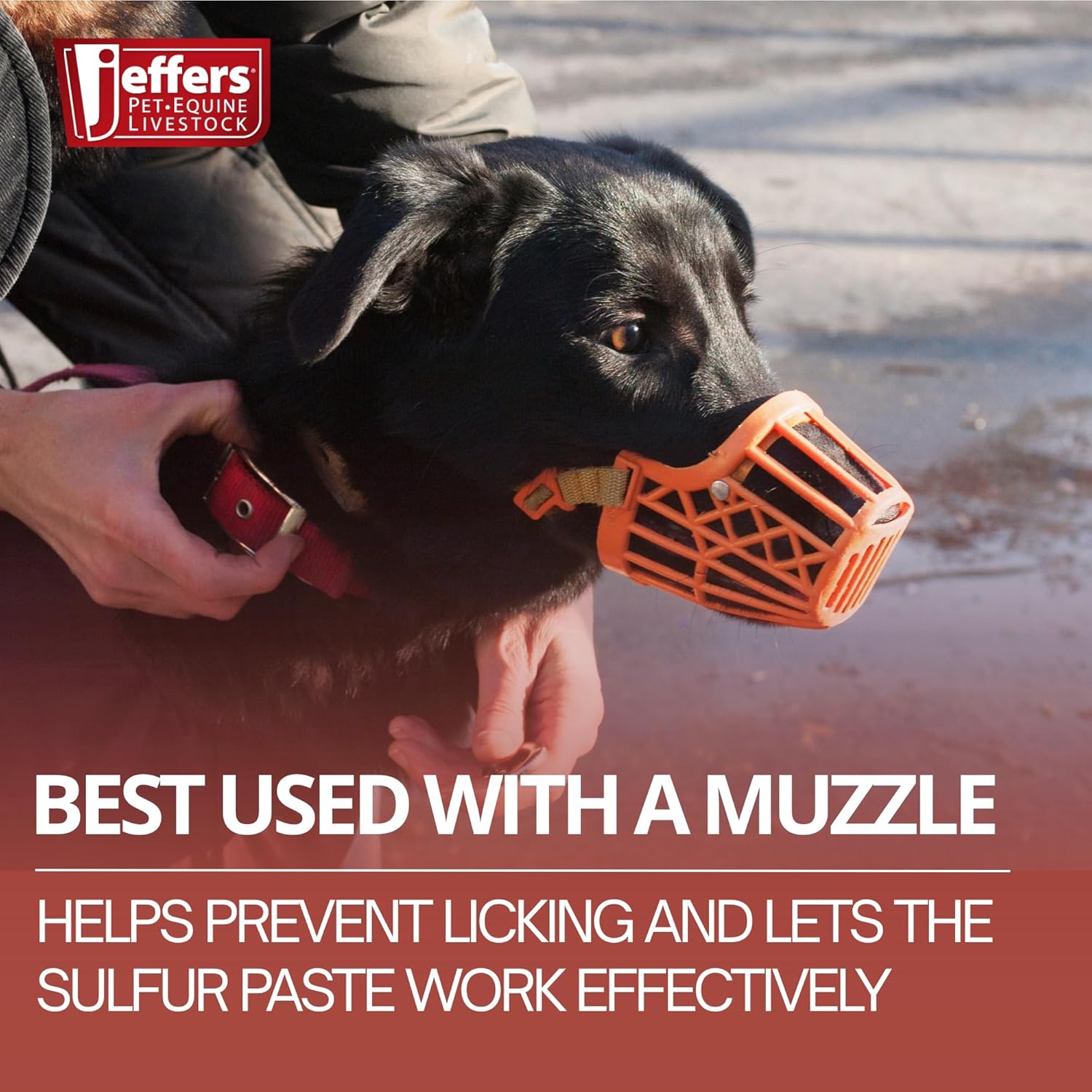 Jeffers Super Sulfur natural healing paste for dogs, cats, and horses in 8 oz jar, used for wound care and skin healing.
