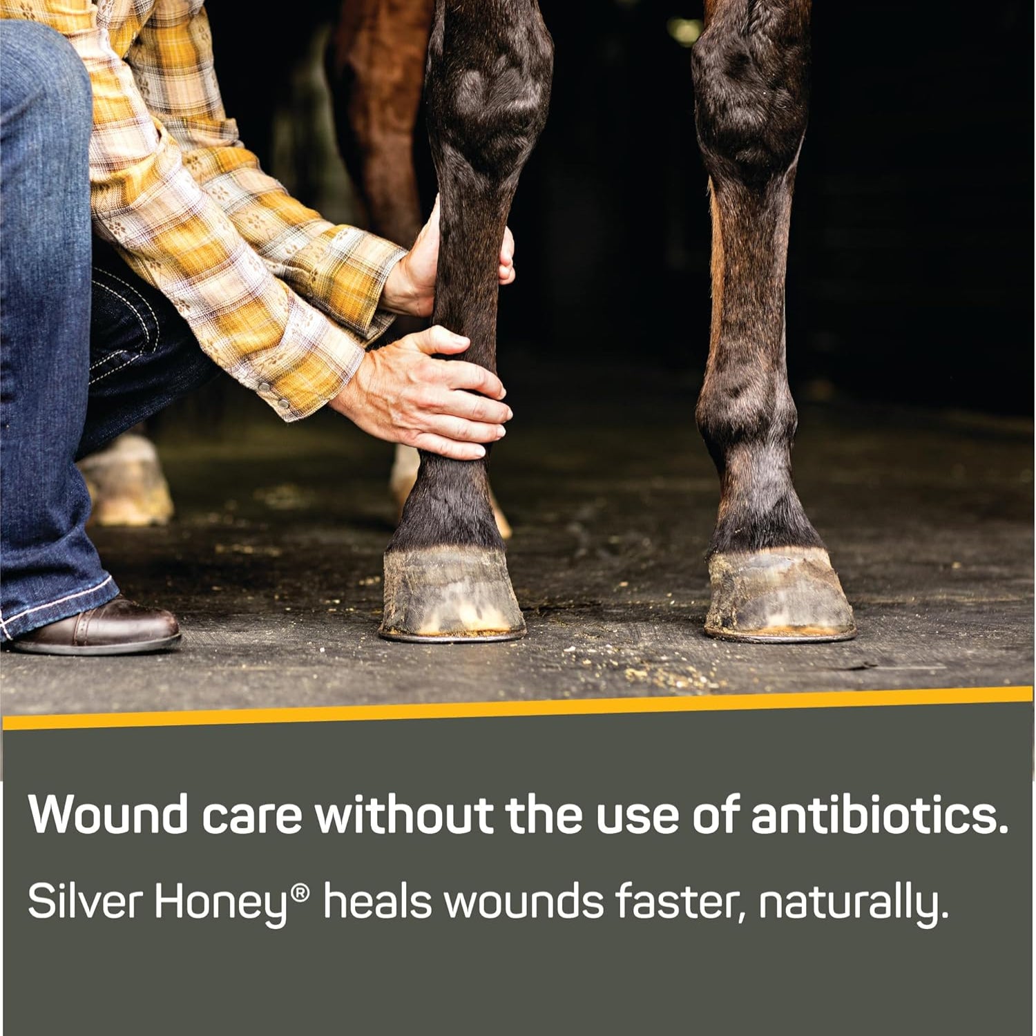 Silver Honey Absorbine Silver Honey Rapid Wound Repair Ointment 2oz tube with Manuka honey and silver for healing.