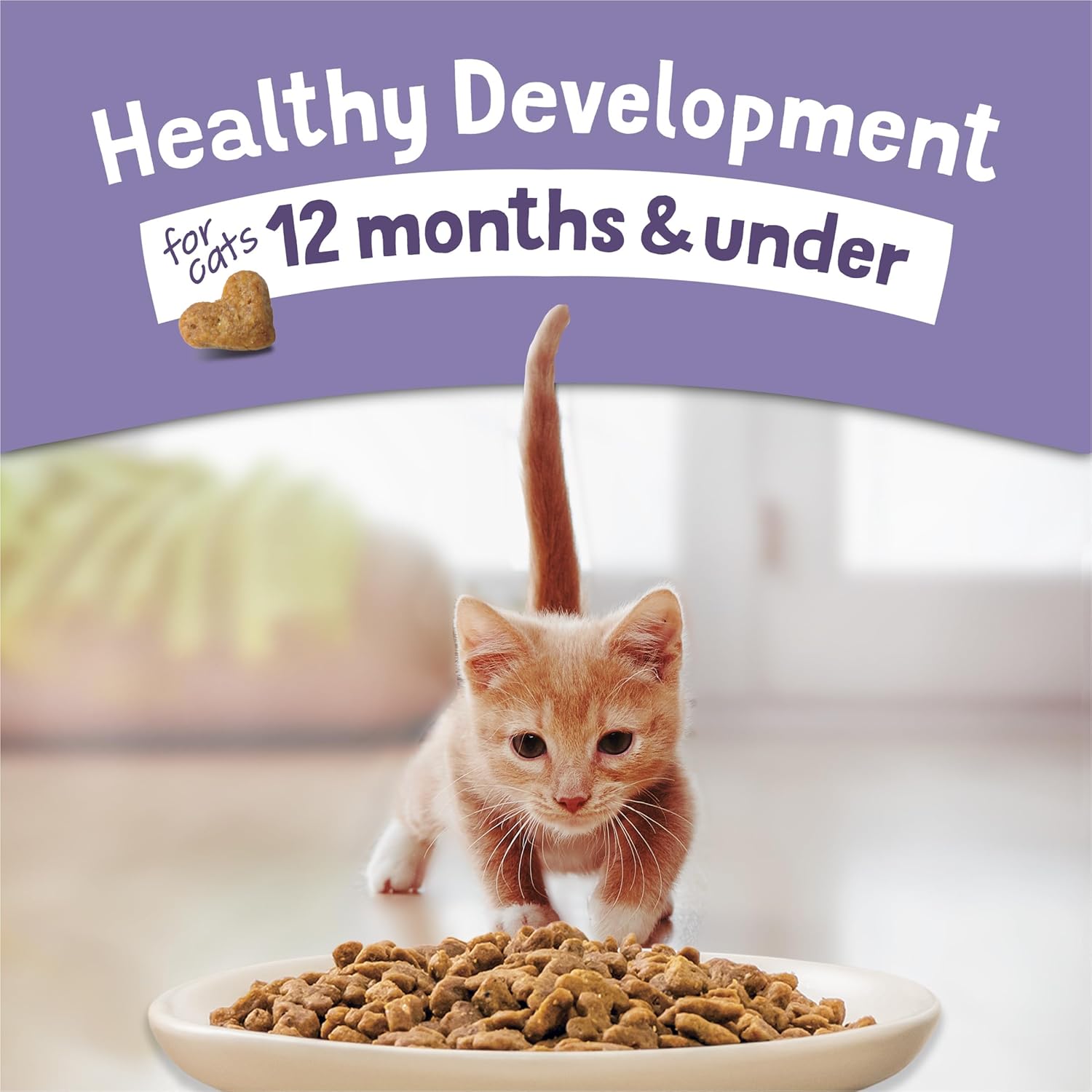 Purina Cat Chow Kitten Food with Real Chicken, healthy development formula, showing a bowl of kitten food with kibble and chicken pieces