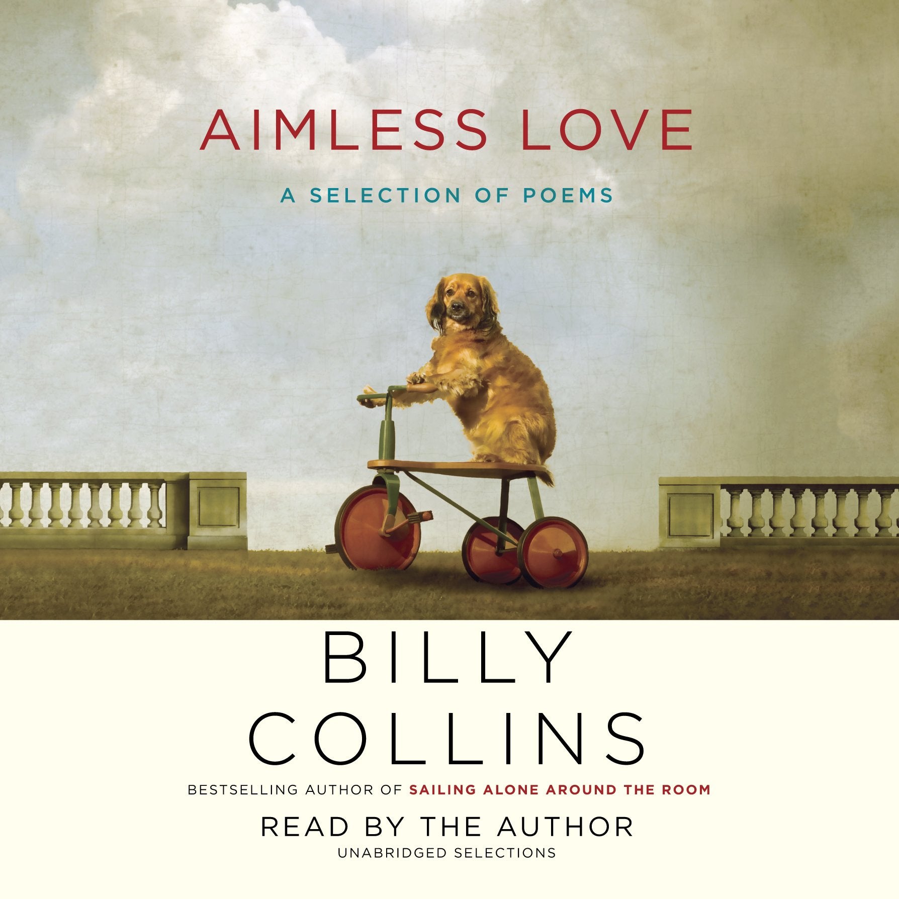 Aimless Love: A Selection of Poems - Product Imagery