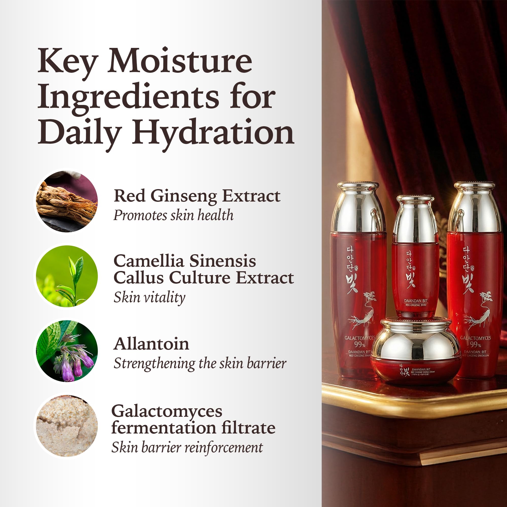 DAANDAN Bit Premium Red Ginseng Set, Skin 5.07 FL OZ, Emulsion - Jigott