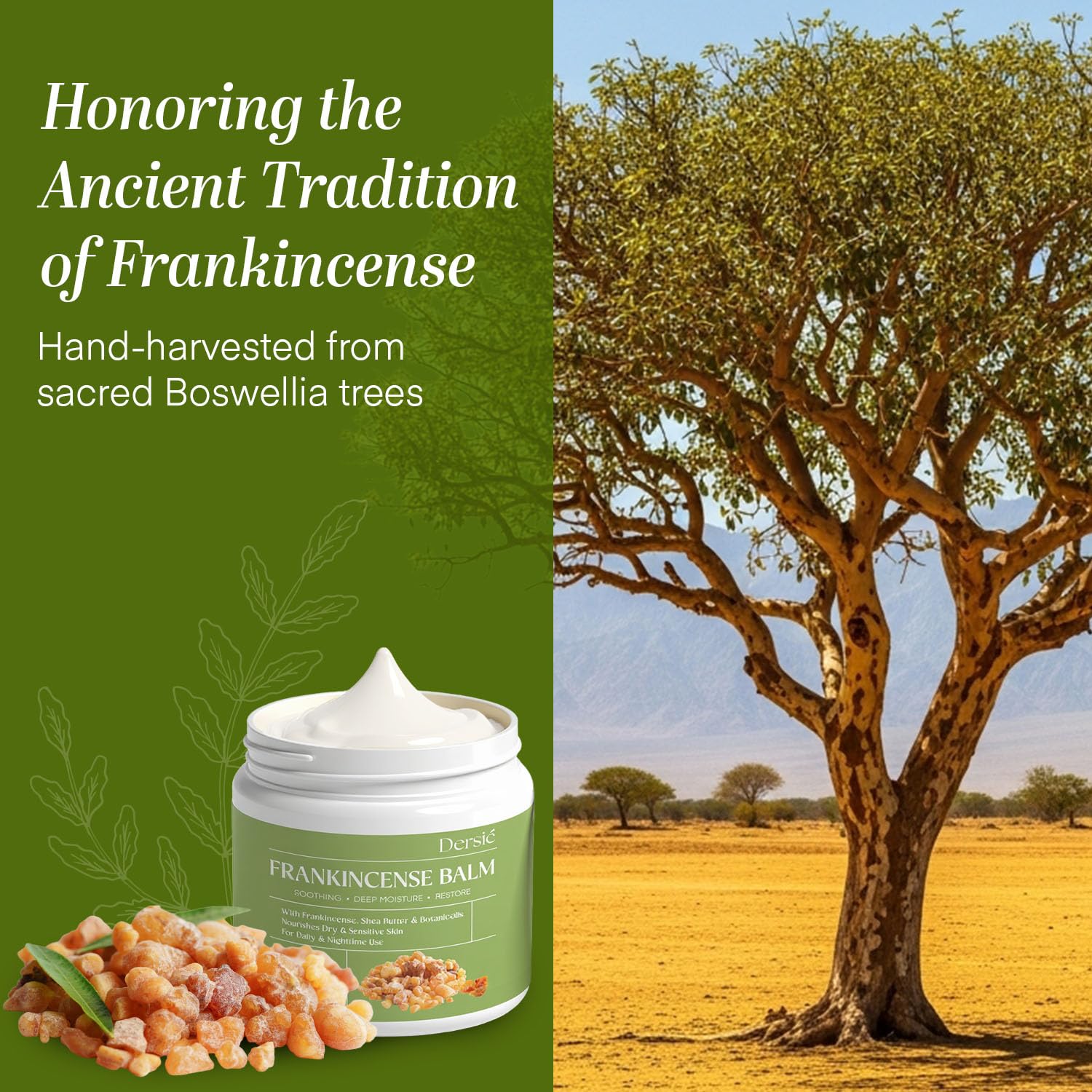 Dersie Frankincense Balm - 4 oz | Soothes Muscles & Joints, Supports Skin Renewal & Nourishment – All Natural Balm for Muscle, Joint & Foot Discomfort and Dry Skin, Infused with Frankincense Oil