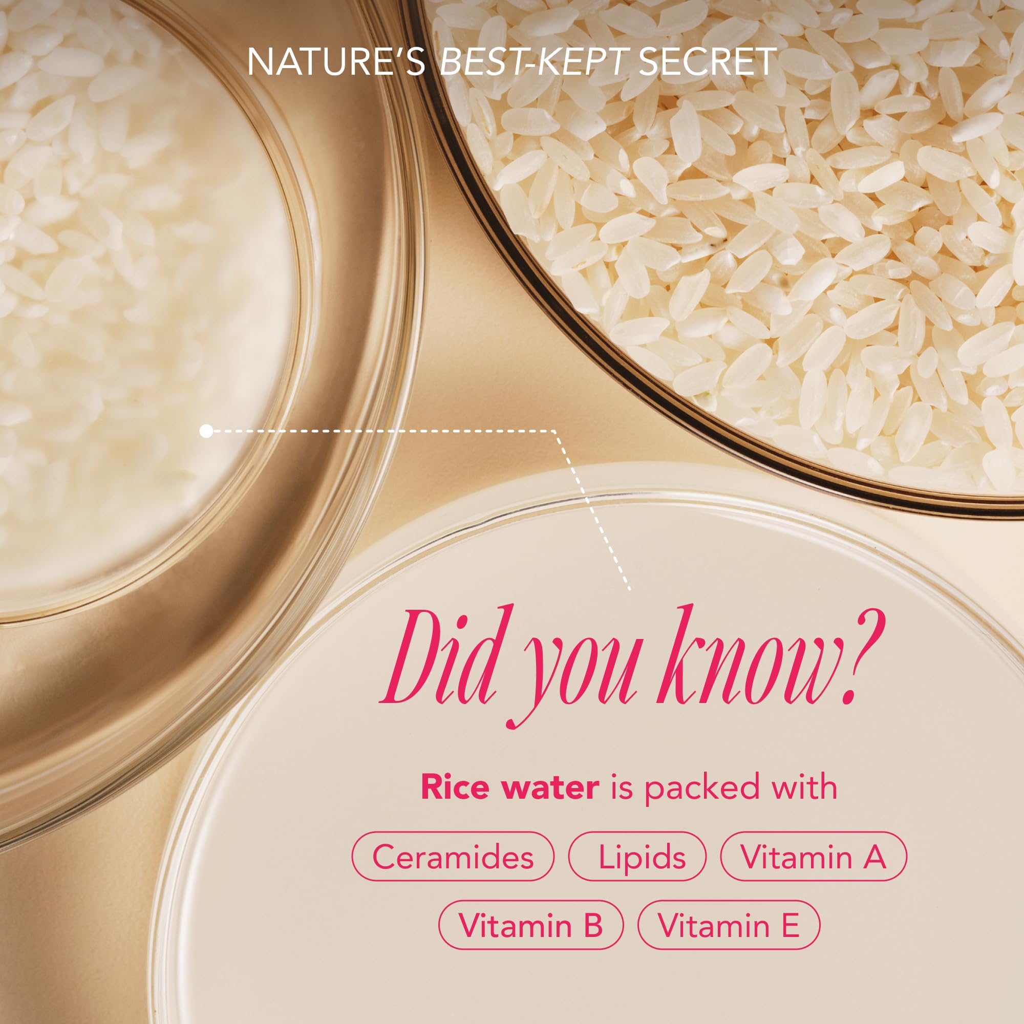 The Face Shop Rice Water Bright Travel Kit, Korean Skin Care Set - The Face Shop