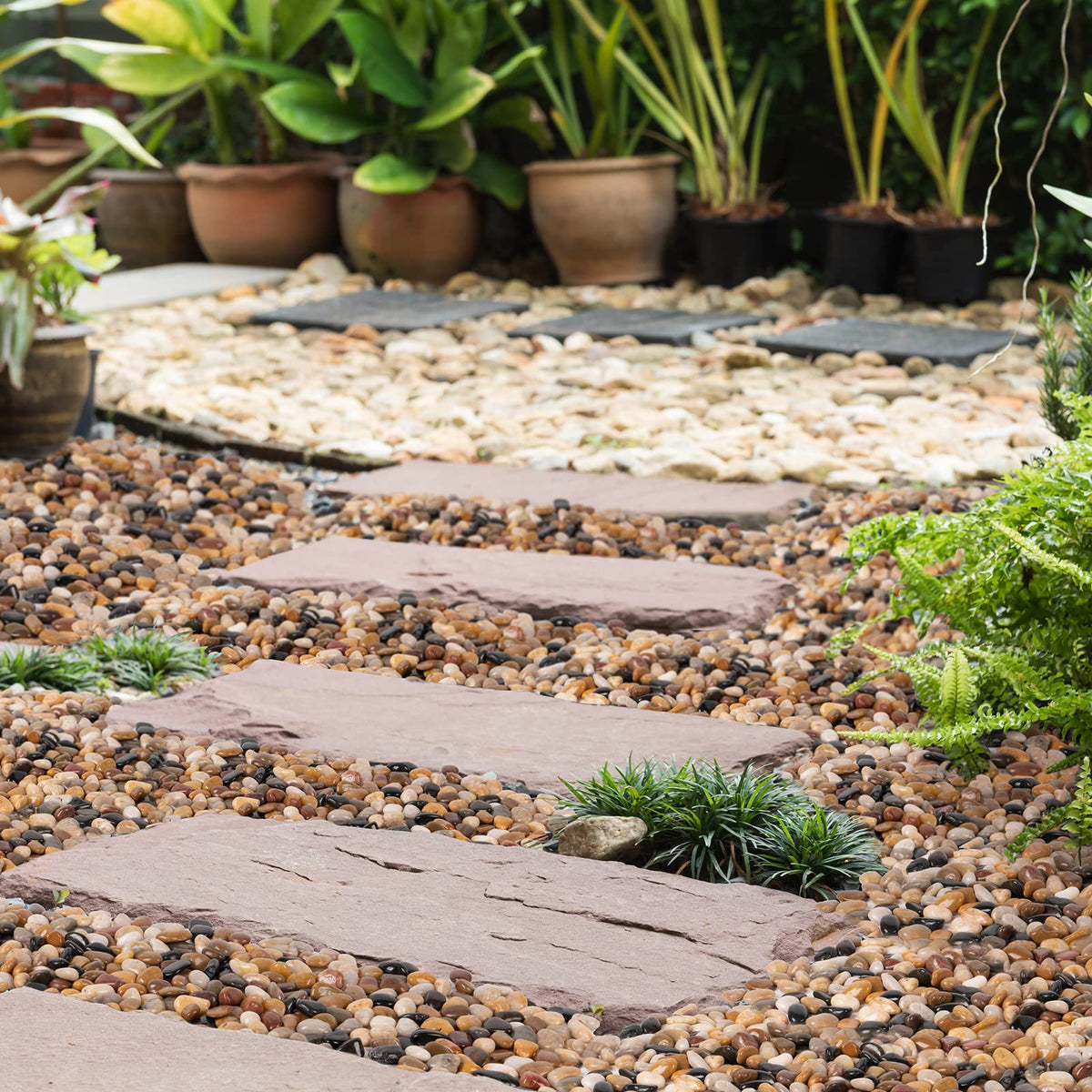 GASPRO 15lb Mixed Color Landscaping Pebbles River Rocks - GASPRO Official Imagery - 7