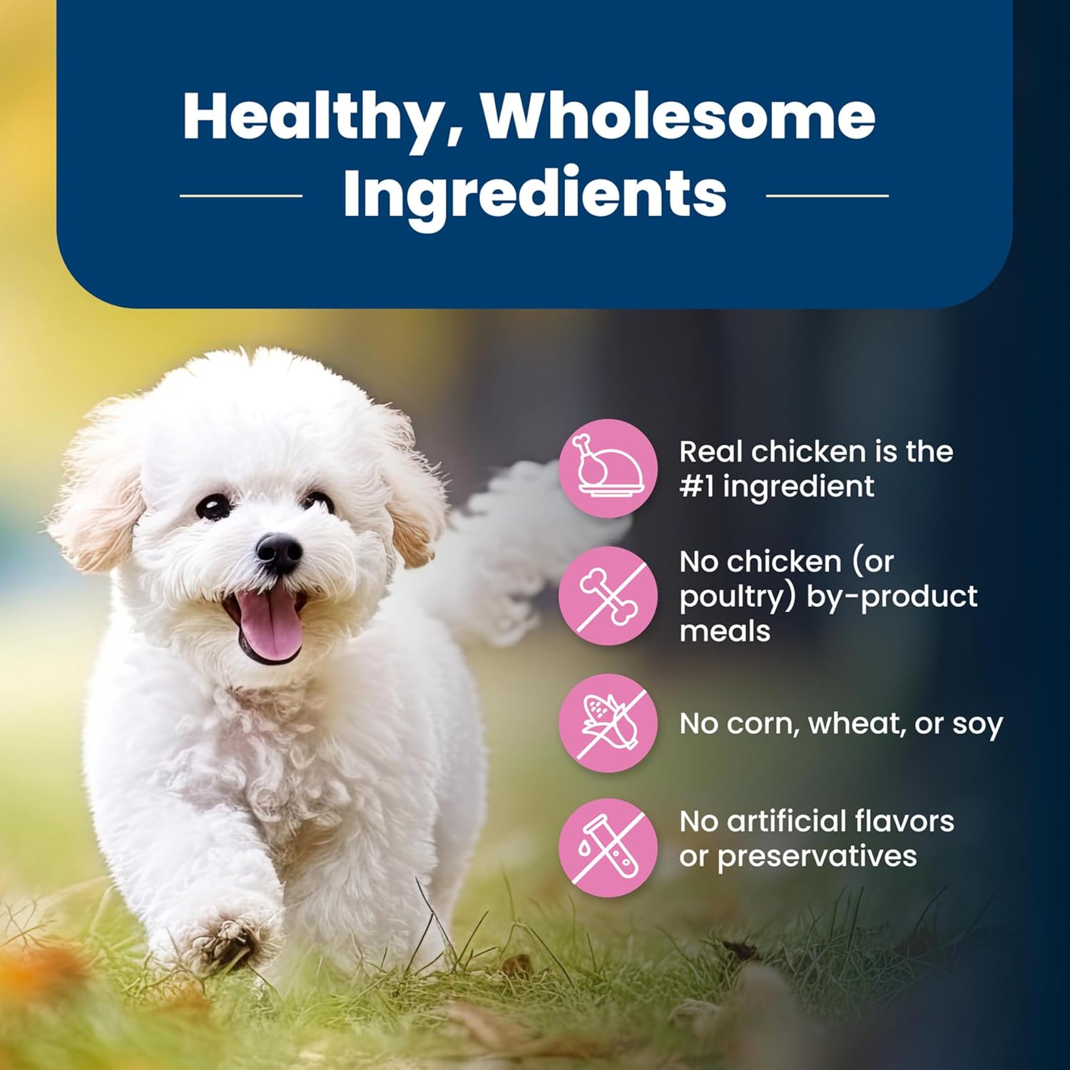 Blue Buffalo Life Protection Formula Adult Dry Dog Food, Helps Build