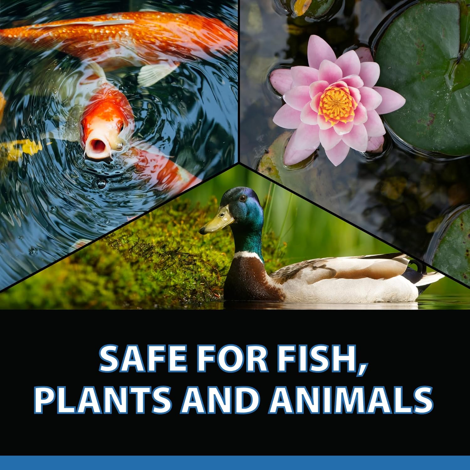 CrystalClear Barley Extract Pond Treatment – Natural Water Clarifier for Fountains 1 Gallon