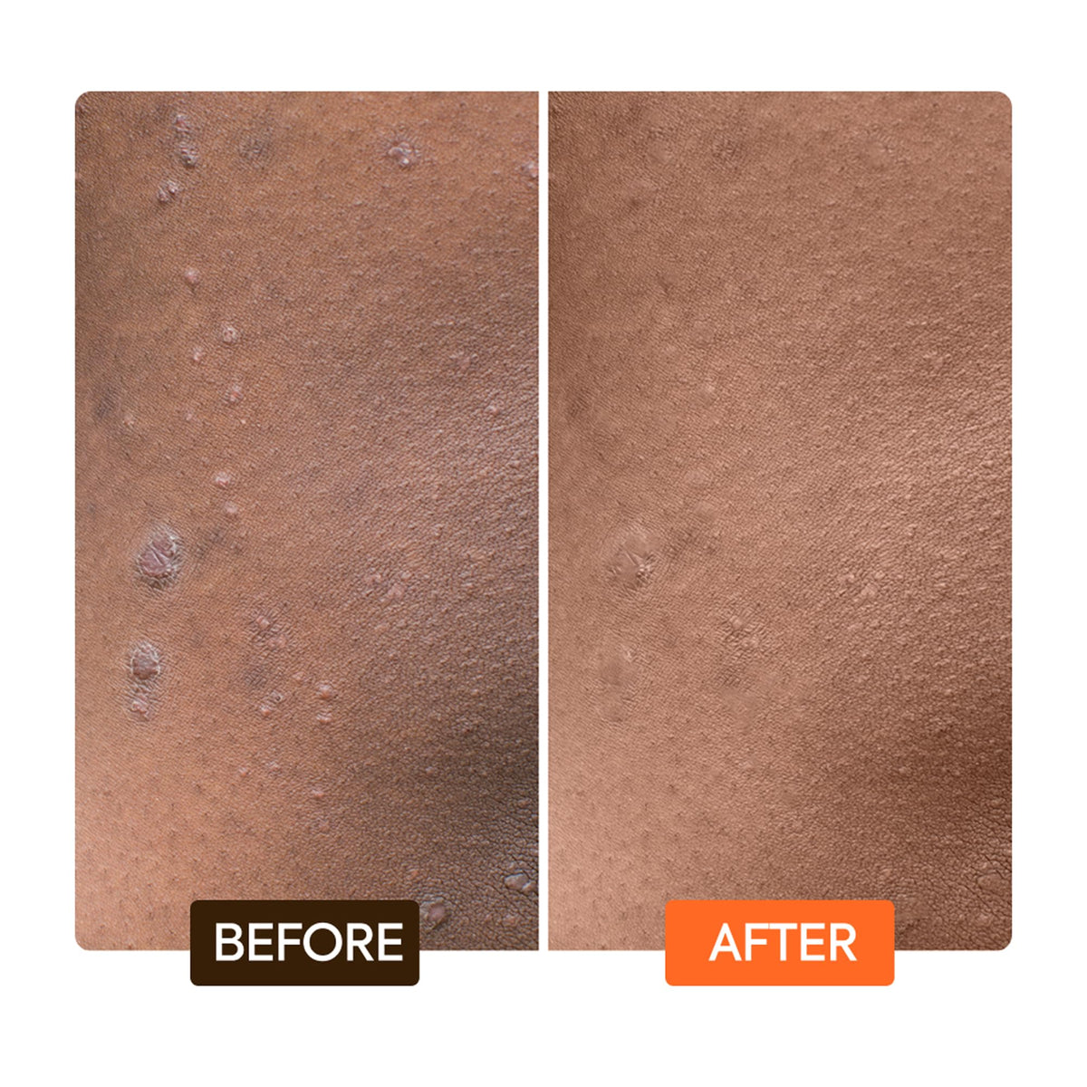 MAKARI Extreme Active Intense Carrot Argan Oil Body Milk - MAKARI Official Imagery - 8