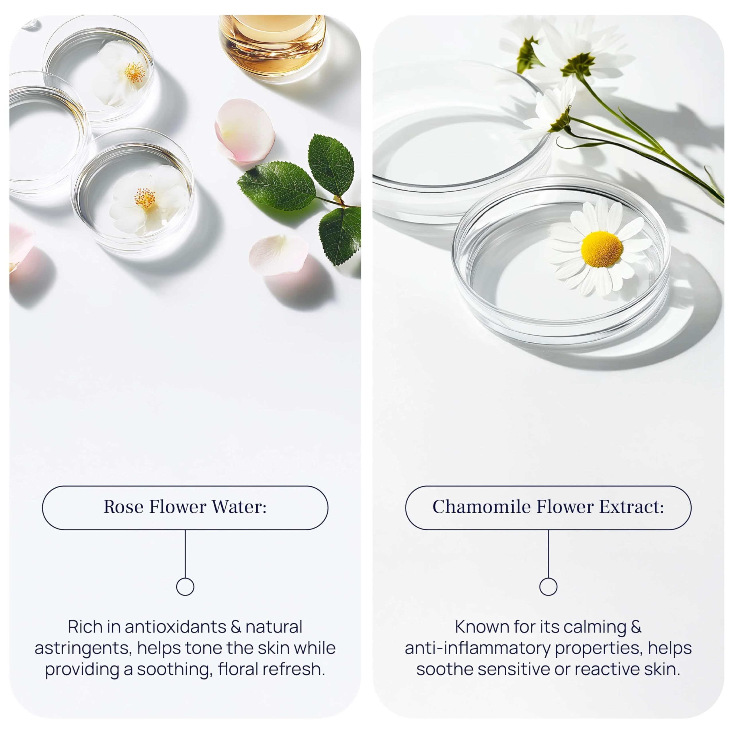PUREANCE Cleansing Foam - PUREANCE