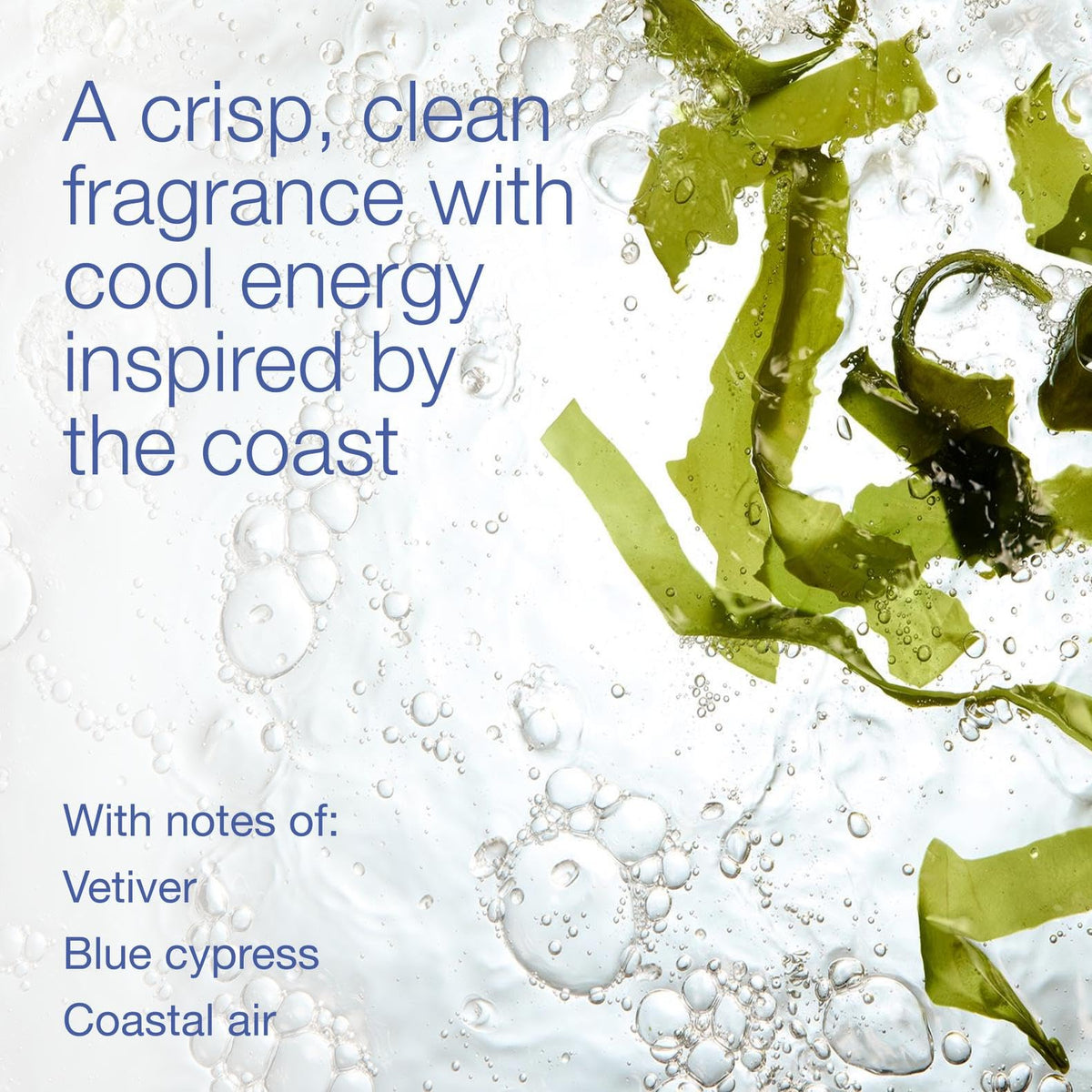 Bath Body Works Men s Ocean Grooming Gift Set 1 Pack - Bath & Body Works Official Imagery - 4
