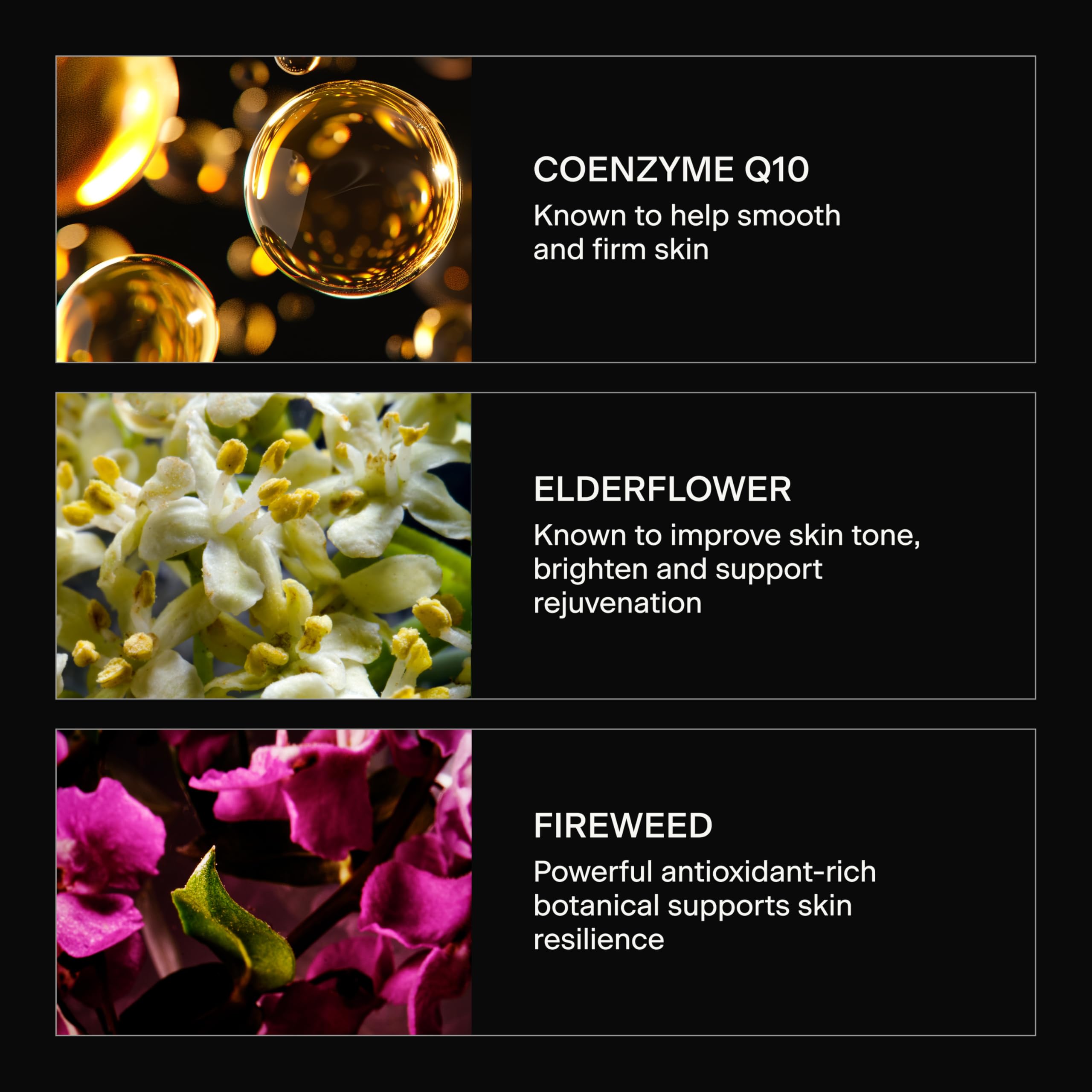 Caldera + Lab The Good - Men's Anti Aging Rich Facial Serum & 1 - Caldera + Lab Official Product View 5