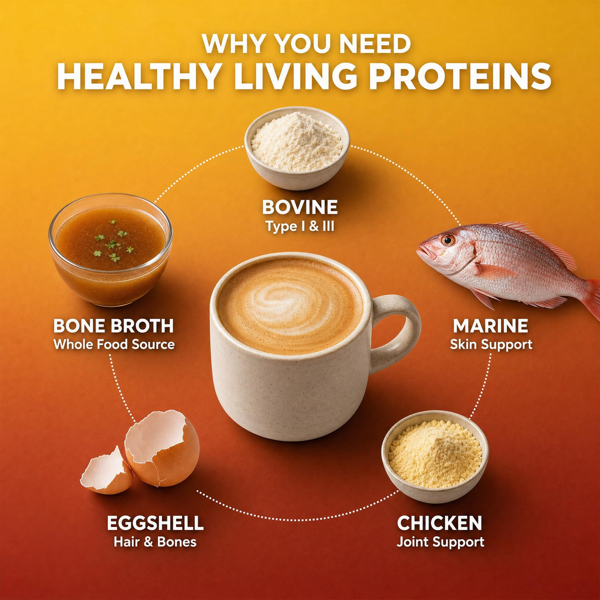 Healthy Living Proteins - HLP Healthy Living Proteins Official Imagery - 8