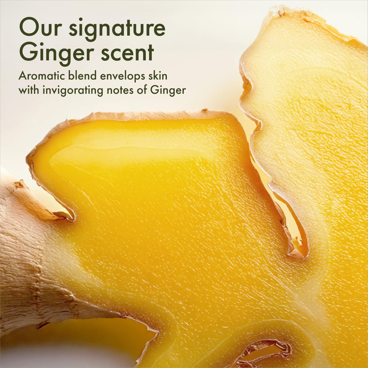 Origins Ginger Souffle Whipped Body Cream - Premium Selection Official Imagery - 7