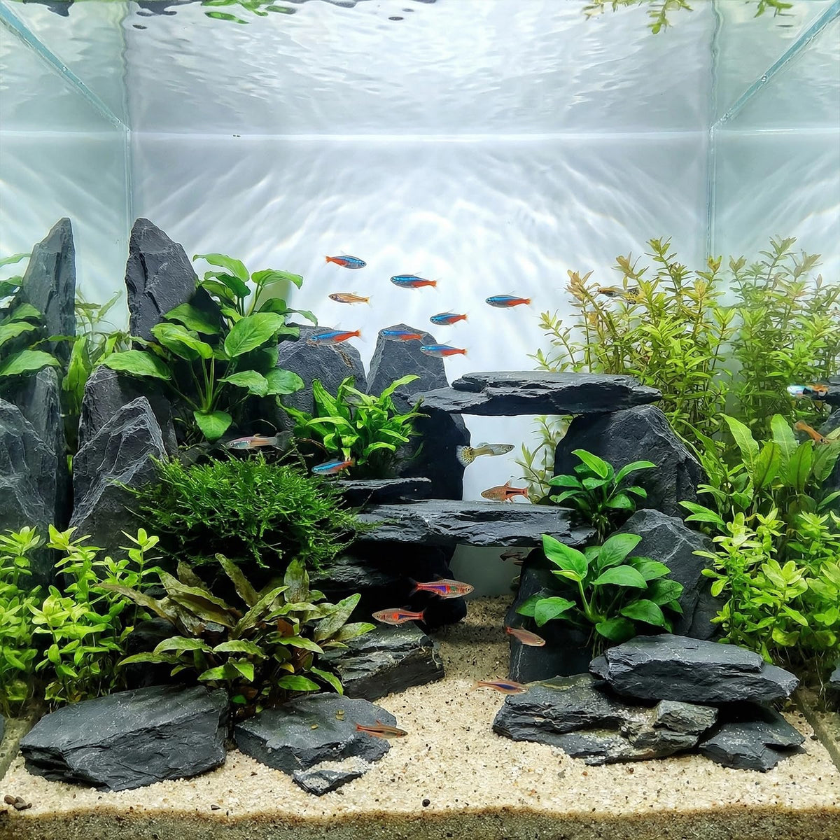 Slate Rock for Aquarium 5 7 Inch Polished Natural Stone - YISZM Official Imagery - 3