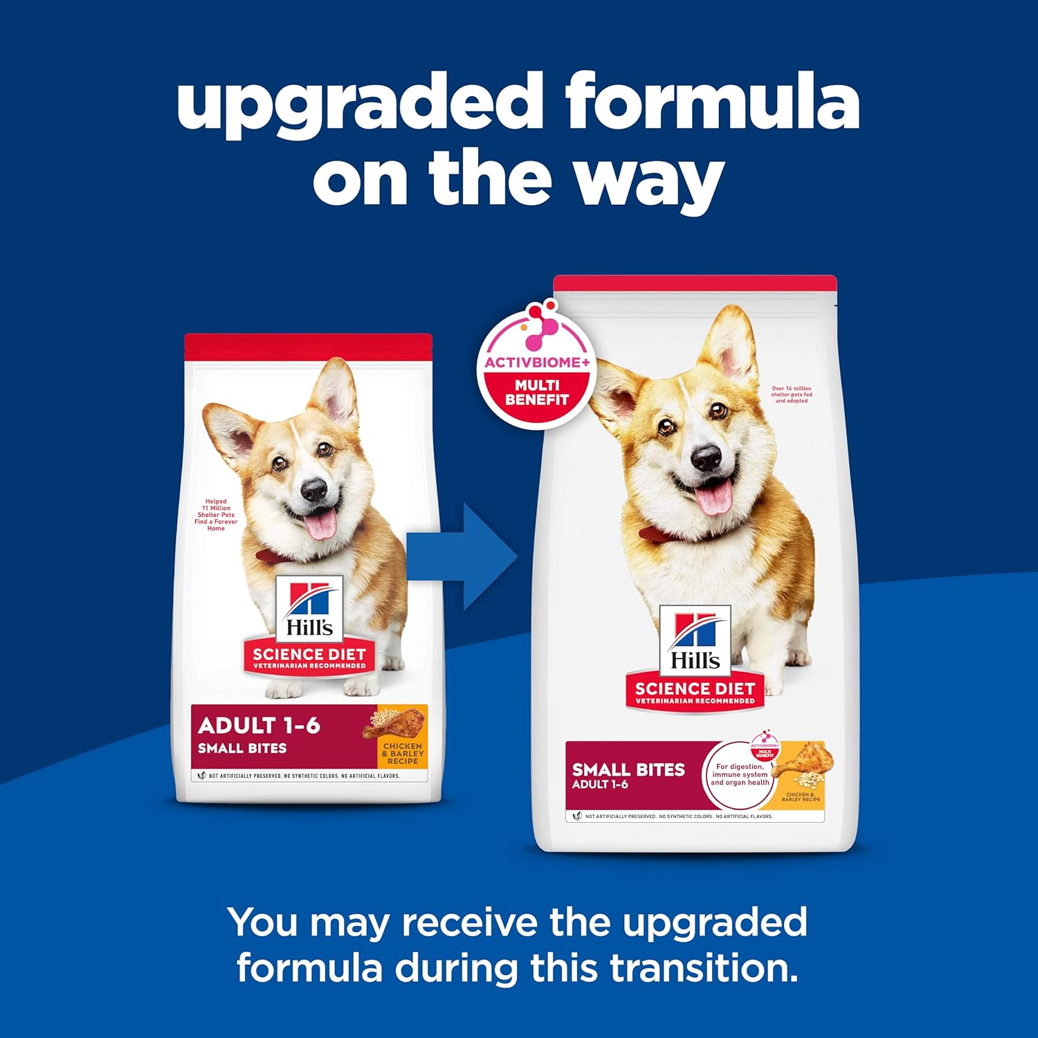 Two packages of Hill's Science Diet dog food with a blue background and text about an upgraded formula.