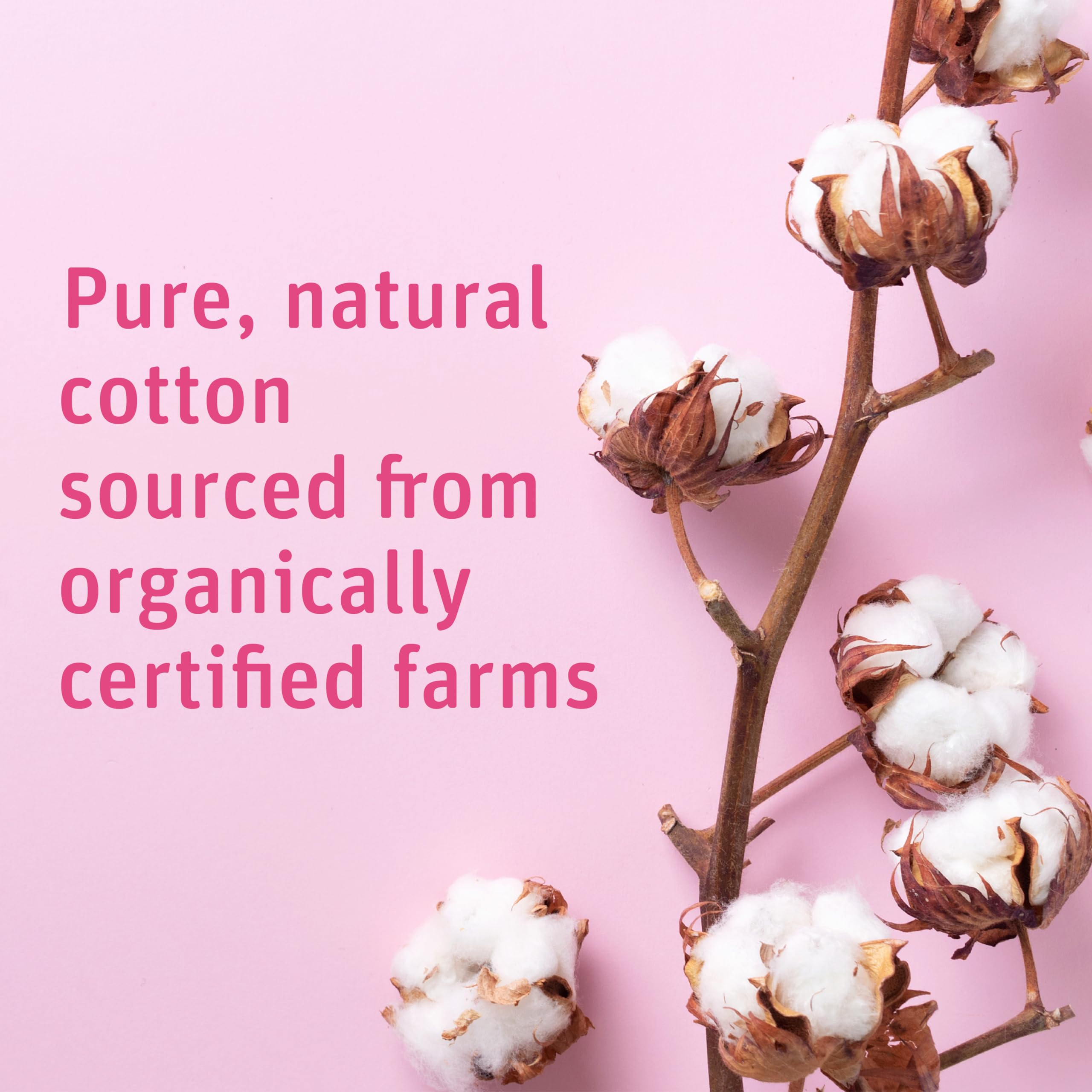 Simply Soft Premium Organic Cotton Balls, 600 Count   100% Pure C - Simply Soft Official Product View 3