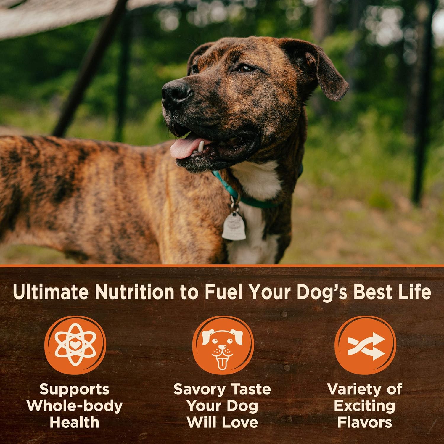 Wellness CORE Hearty Cuts natural wet grain-free canned dog food with chunks of meat and vegetables in a pet food can.